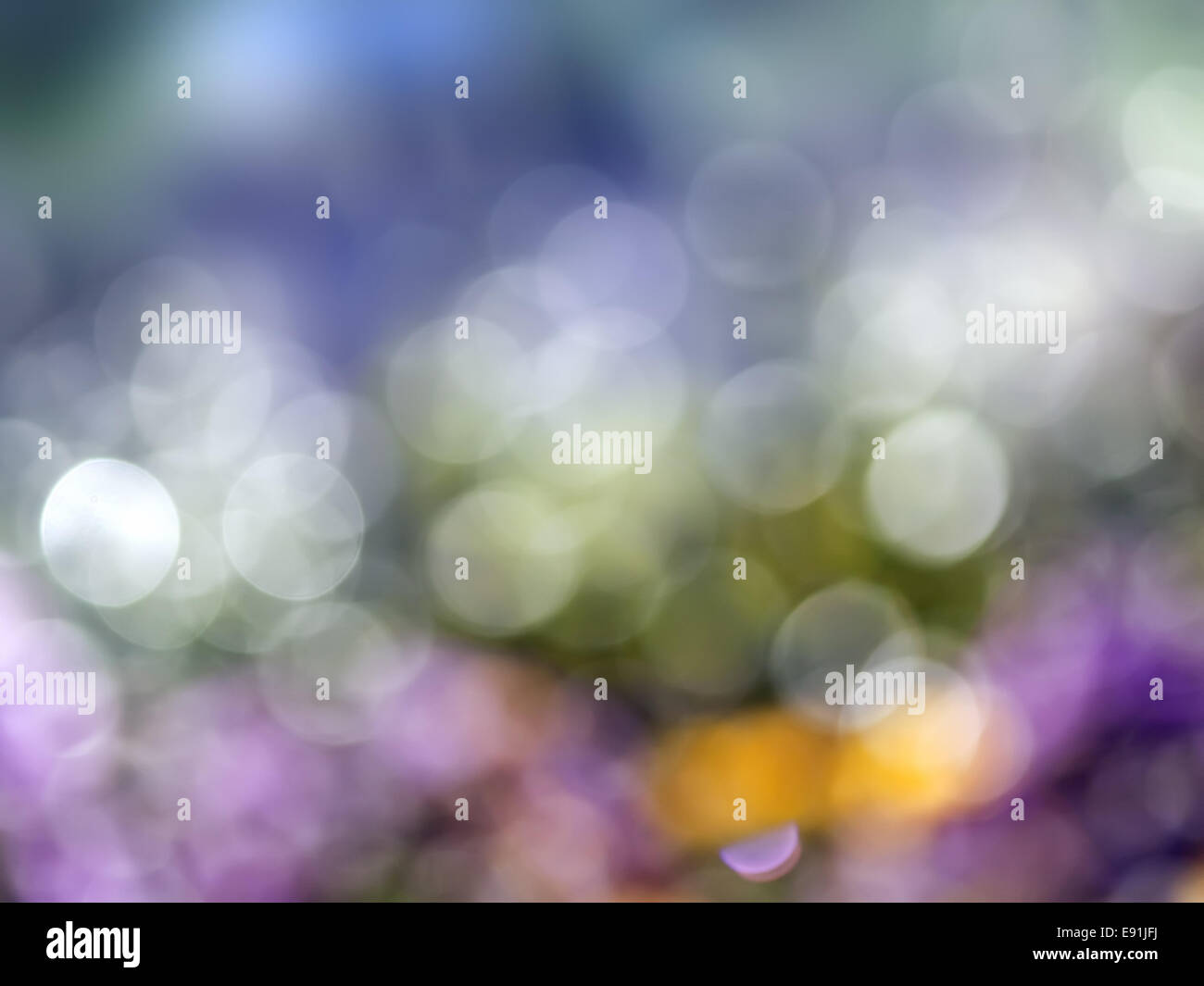 Naturale sfondo bokeh di fondo Foto Stock
