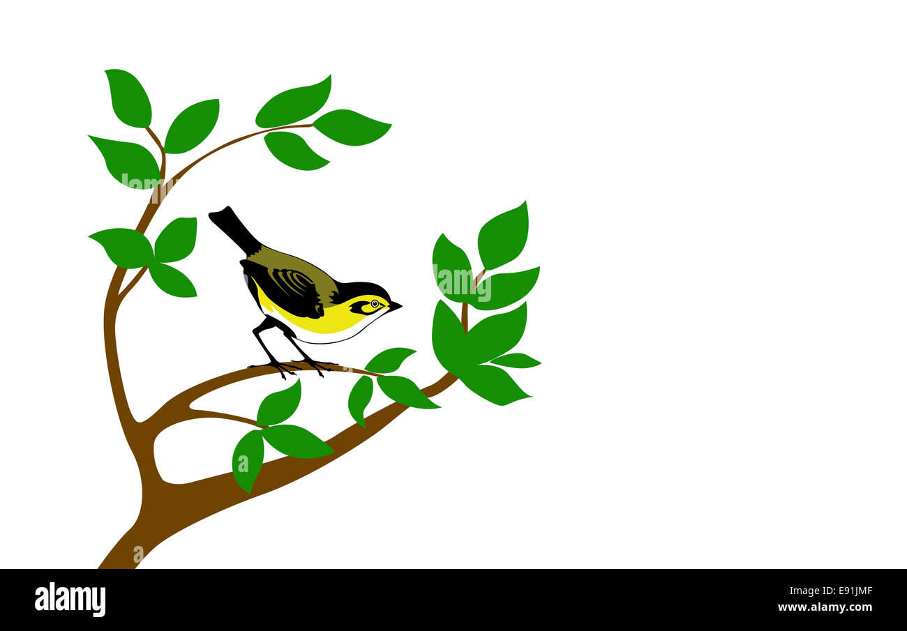 Silhouette bird su albero Foto Stock