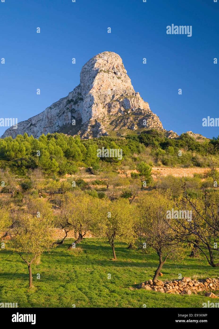 Colonia de Sant Pere, Maiorca, isole Baleari, Spagna. Vista su terreni agricoli a Puig de Ferrutx. Foto Stock