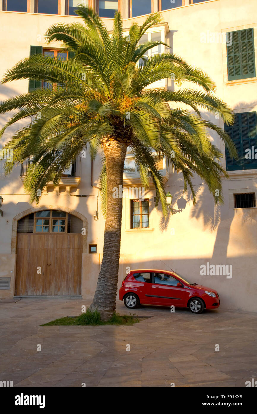Palma de Mallorca, Maiorca, isole Baleari, Spagna. Auto rossa parcheggiato sotto palme vicino alla cattedrale. Foto Stock