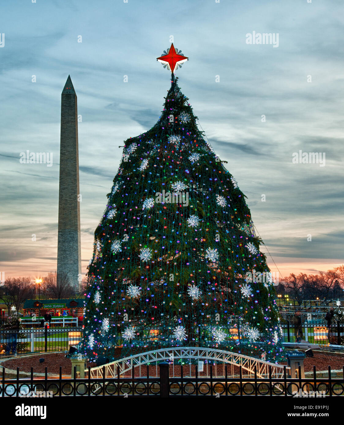 Nazionale di albero di Natale in c.c. Foto Stock