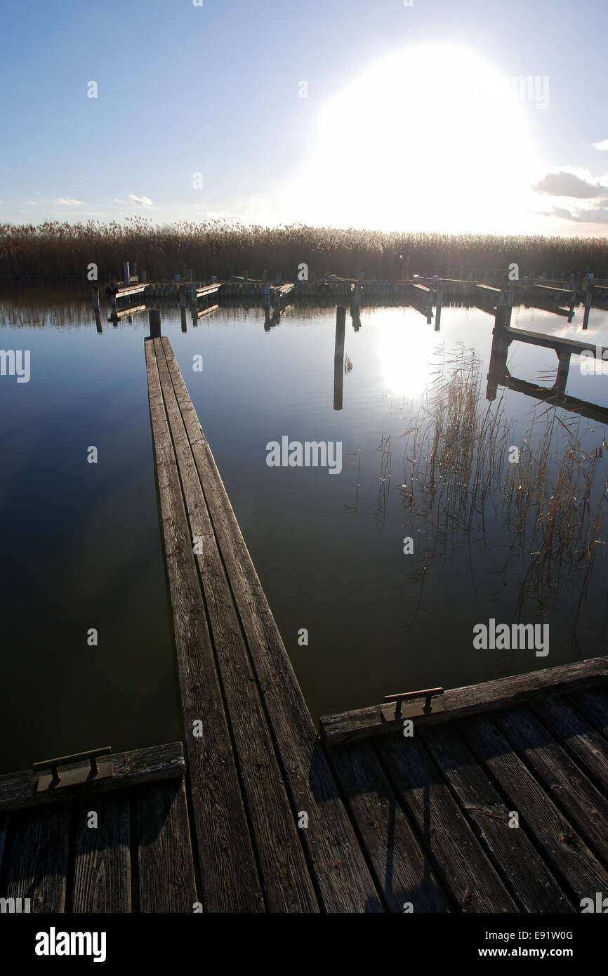 Landig tappa al lago Foto Stock