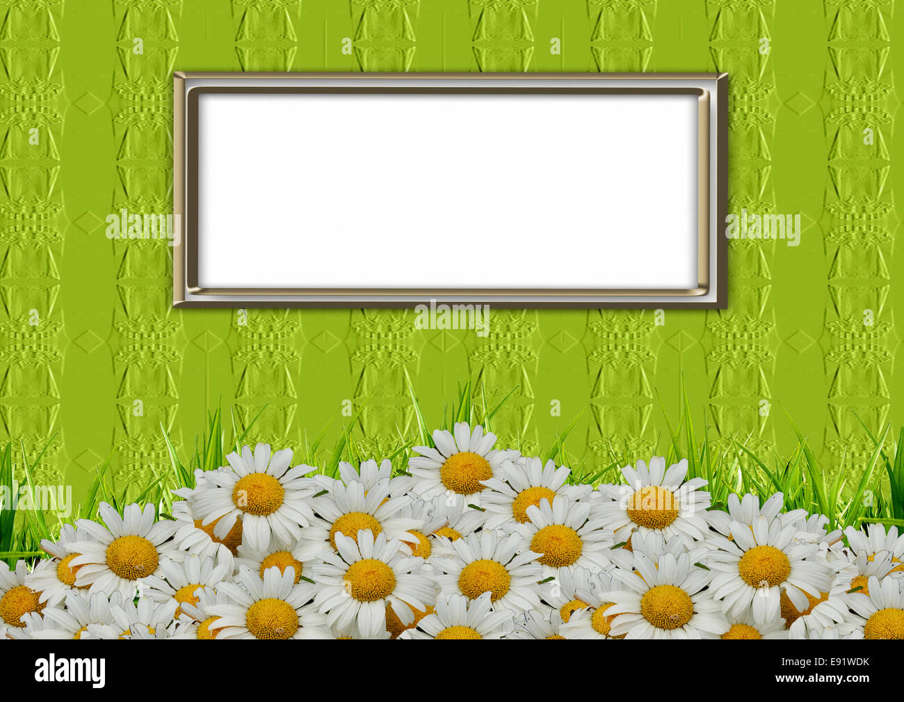 Telaio per un'immagine su una parete e camomiles Foto Stock
