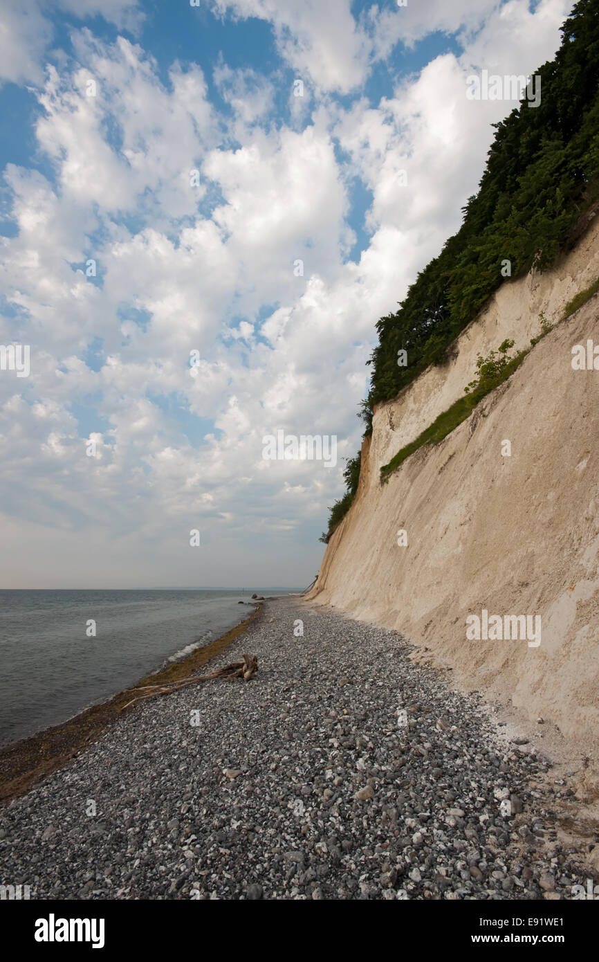 Il Cliffline vicino Sassnitz, Ruegen, Germania Foto Stock