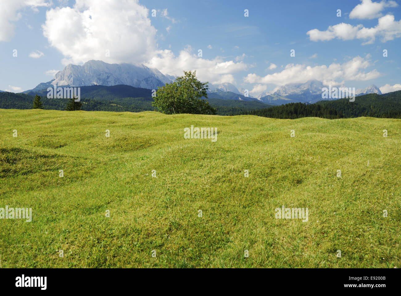 Pascolo di montagne Karwendel Foto Stock