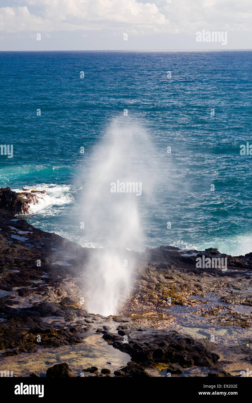 Di Spouting Horn off Poipu in Kauai Foto Stock