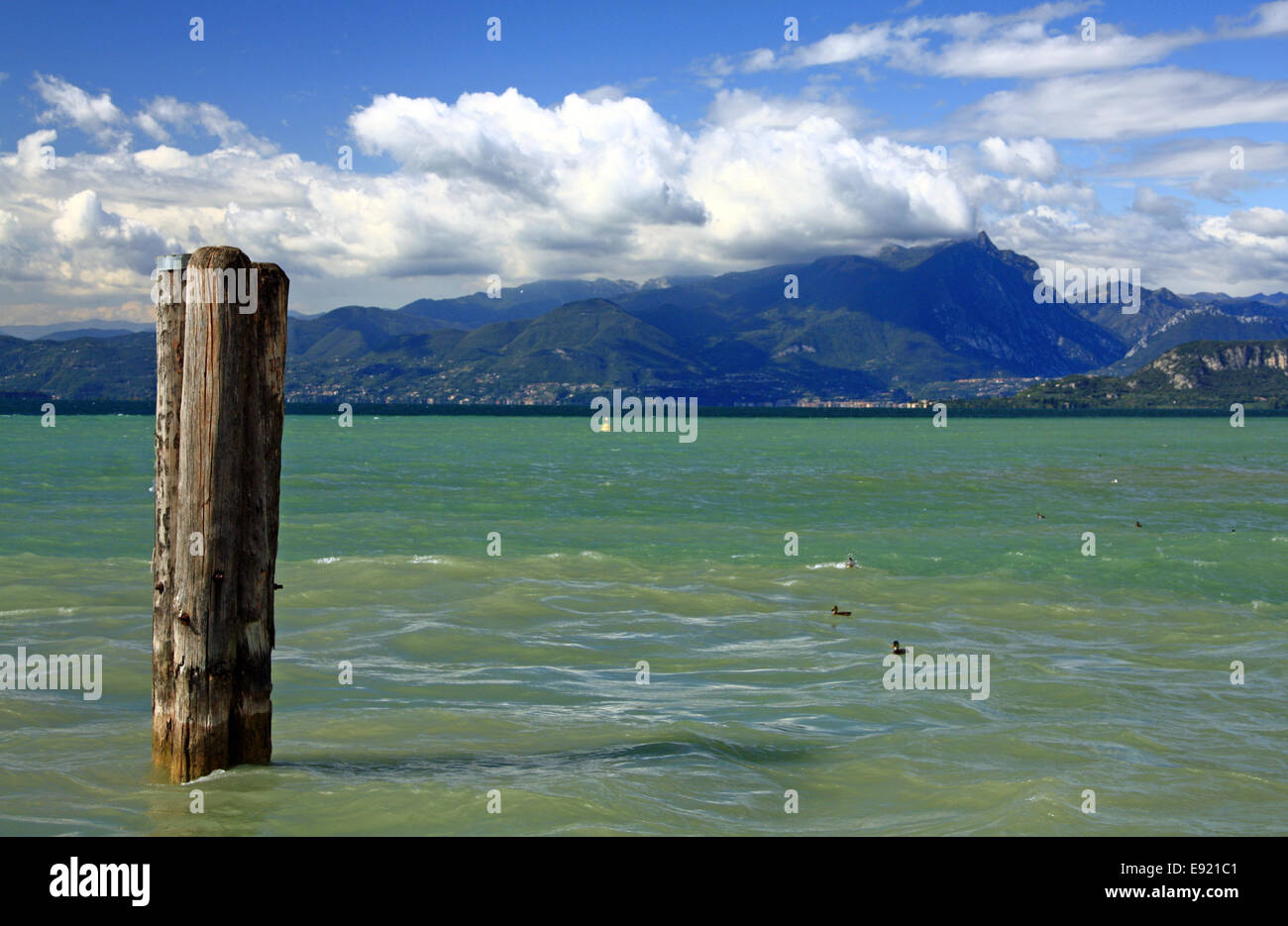 Il lago di Garda vicino a Lazise, Italia Foto Stock