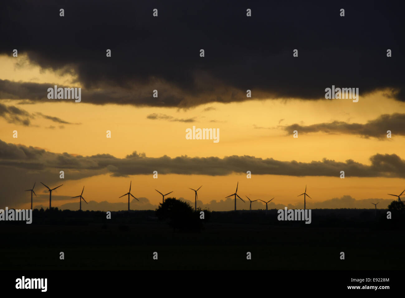 Motori eolici sul tramonto, Germania Foto Stock