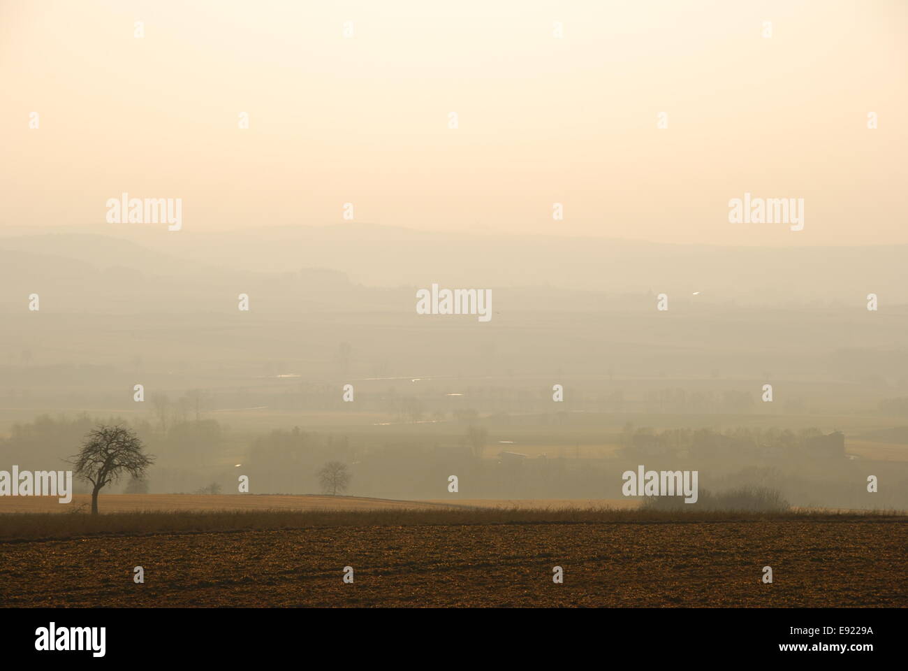 Paesaggio nebbioso Foto Stock