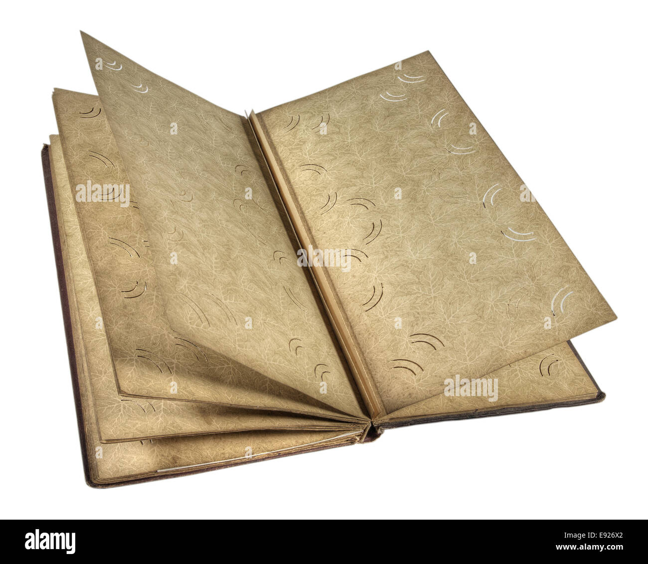 Il vecchio album di immagini Foto Stock