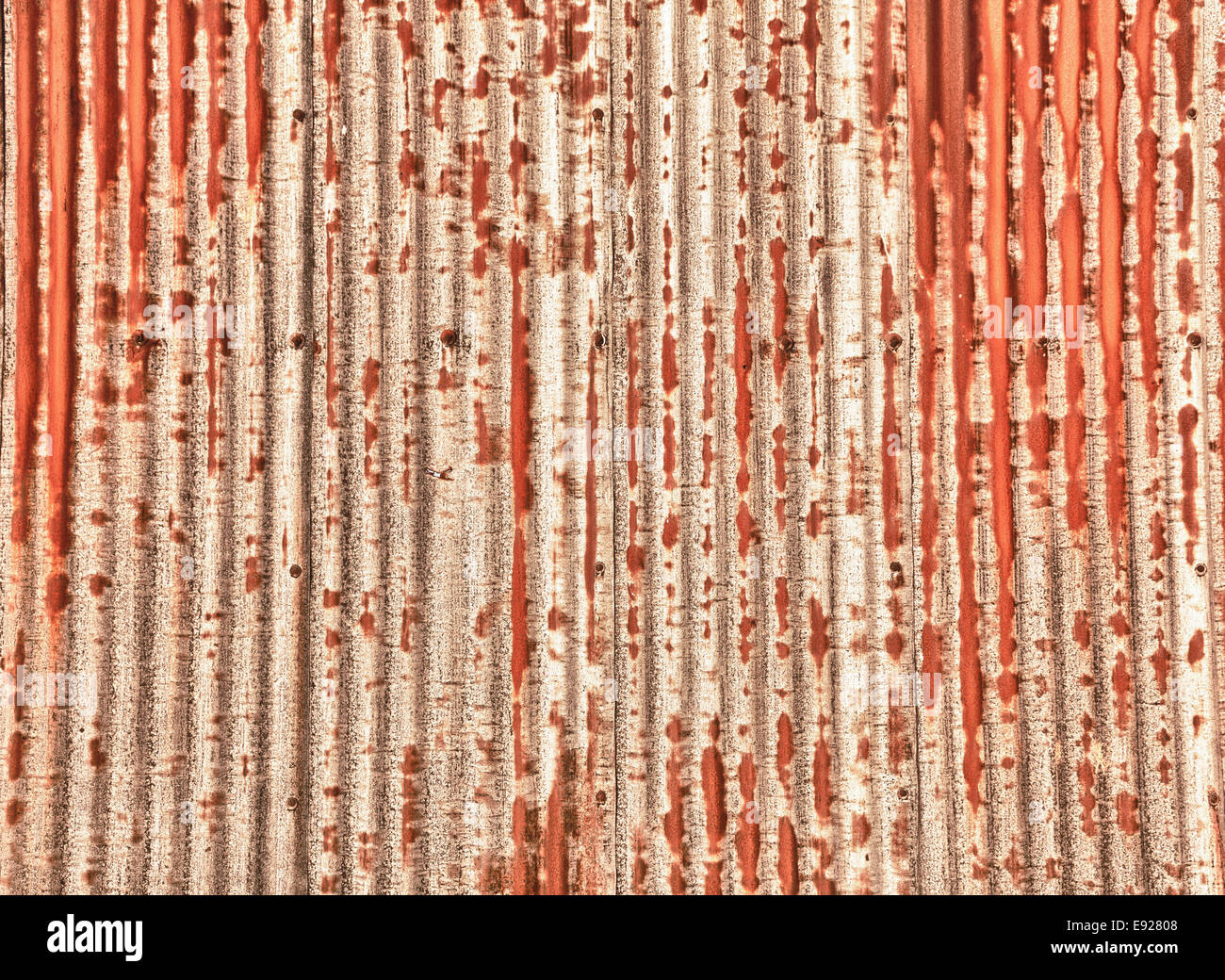 Modello di texture di ruggine foglio di metallo Foto Stock