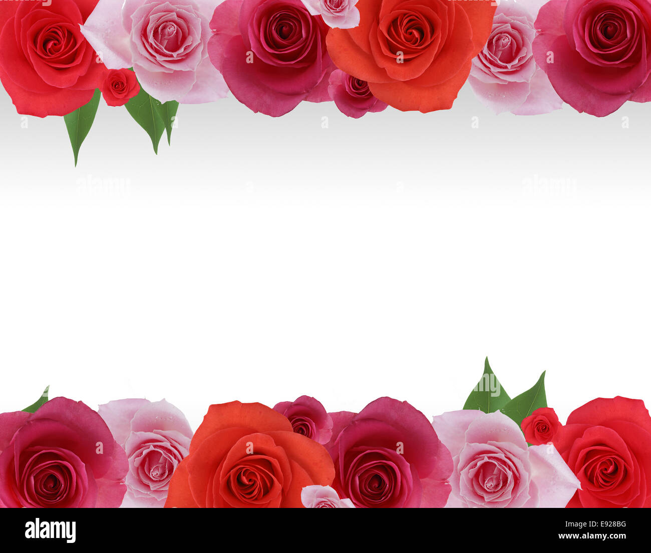 Cornice di Rose Foto Stock