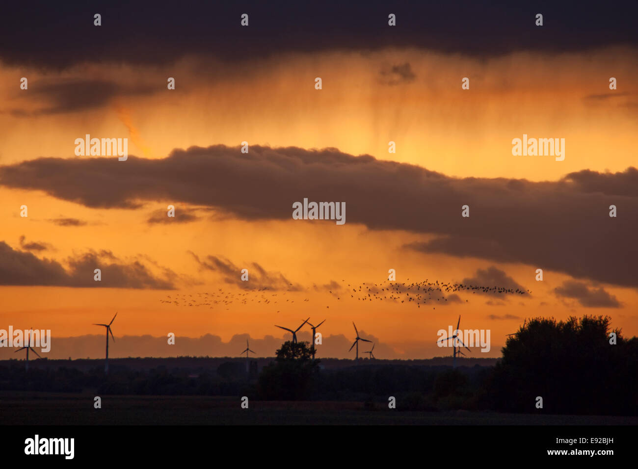 Motori eolici al tramonto in Germania Foto Stock