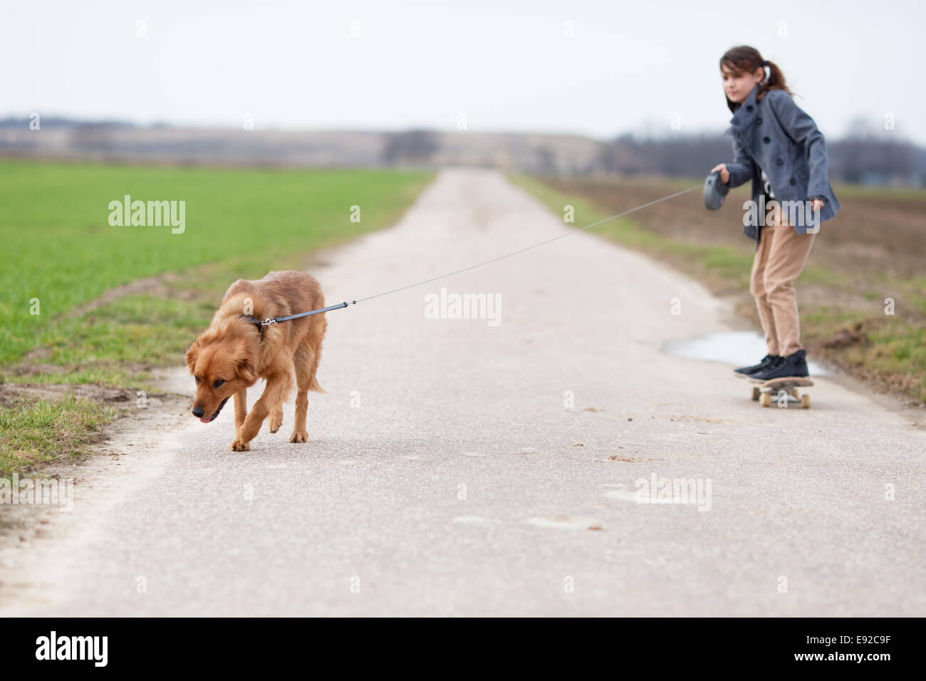 Ragazza di skateboard diventa tirato da un cane Foto Stock