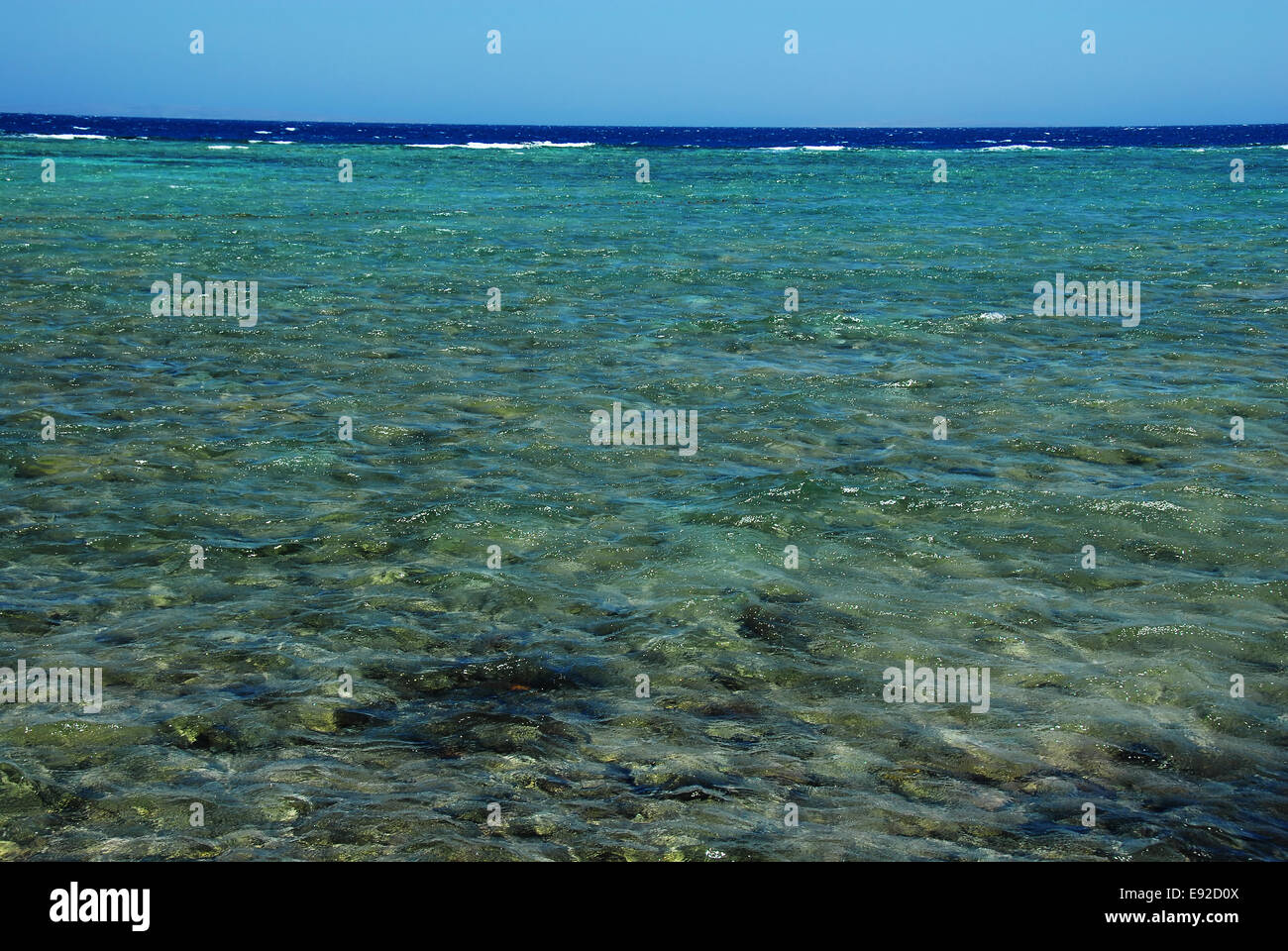 Mar Rosso Egitto Foto Stock