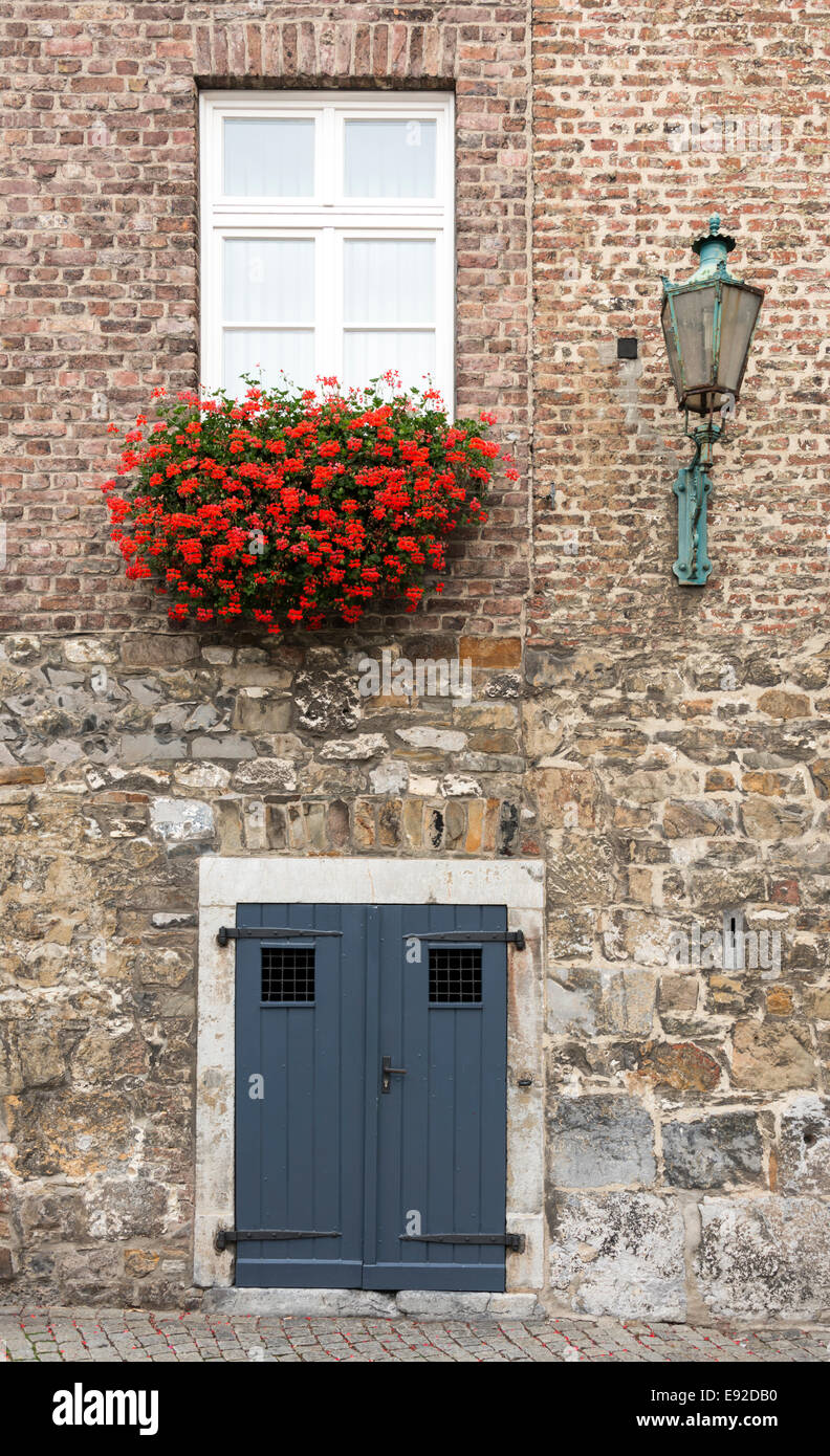 Ingresso della porta di casa con fiori di colore rosso geranio e finestra Foto Stock