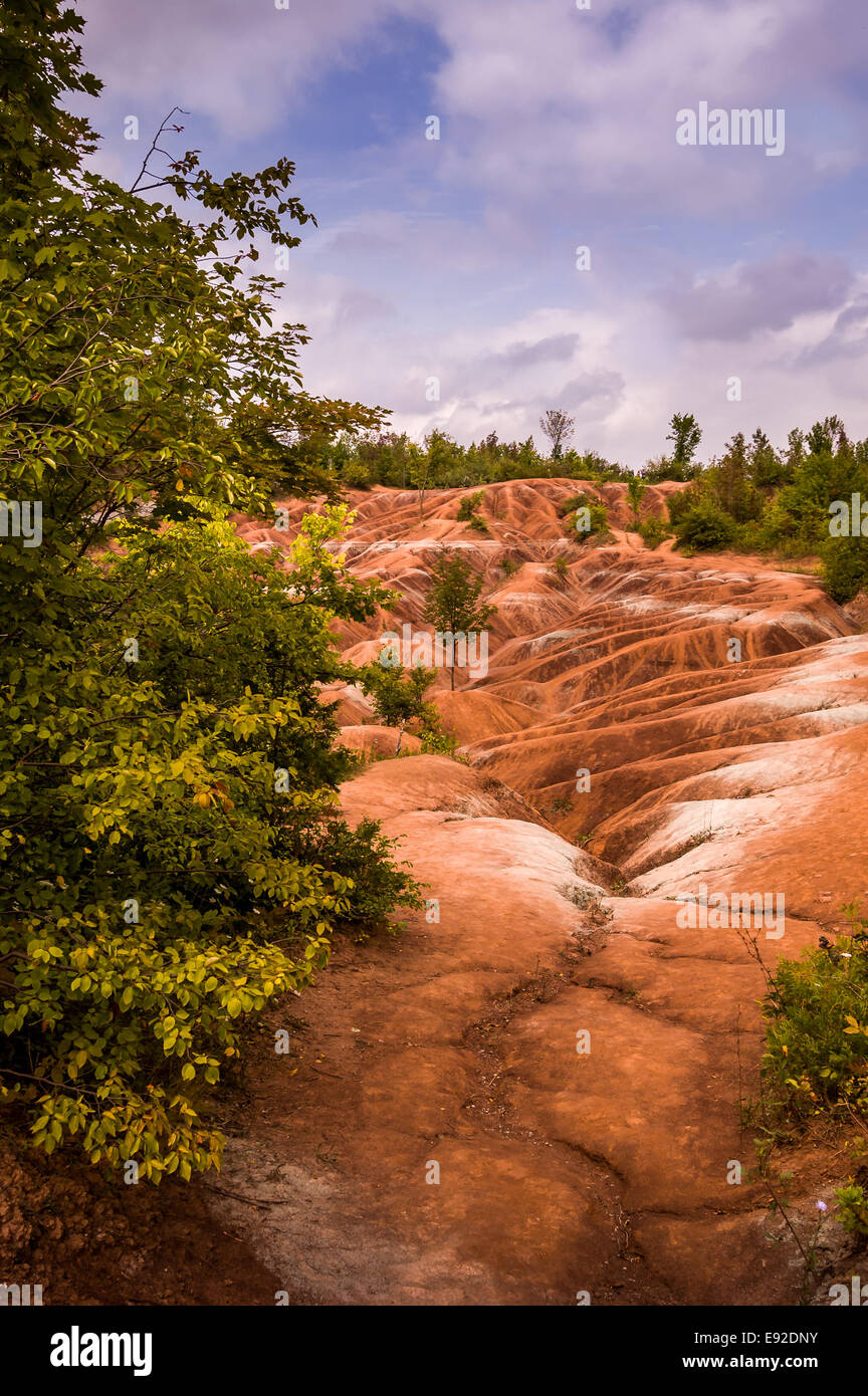 Cheltenham Badlands. Situato a Caledon Ontario Canada questo colorato di rosso il suolo è il risultato di depositi di ossido di ferro. Foto Stock