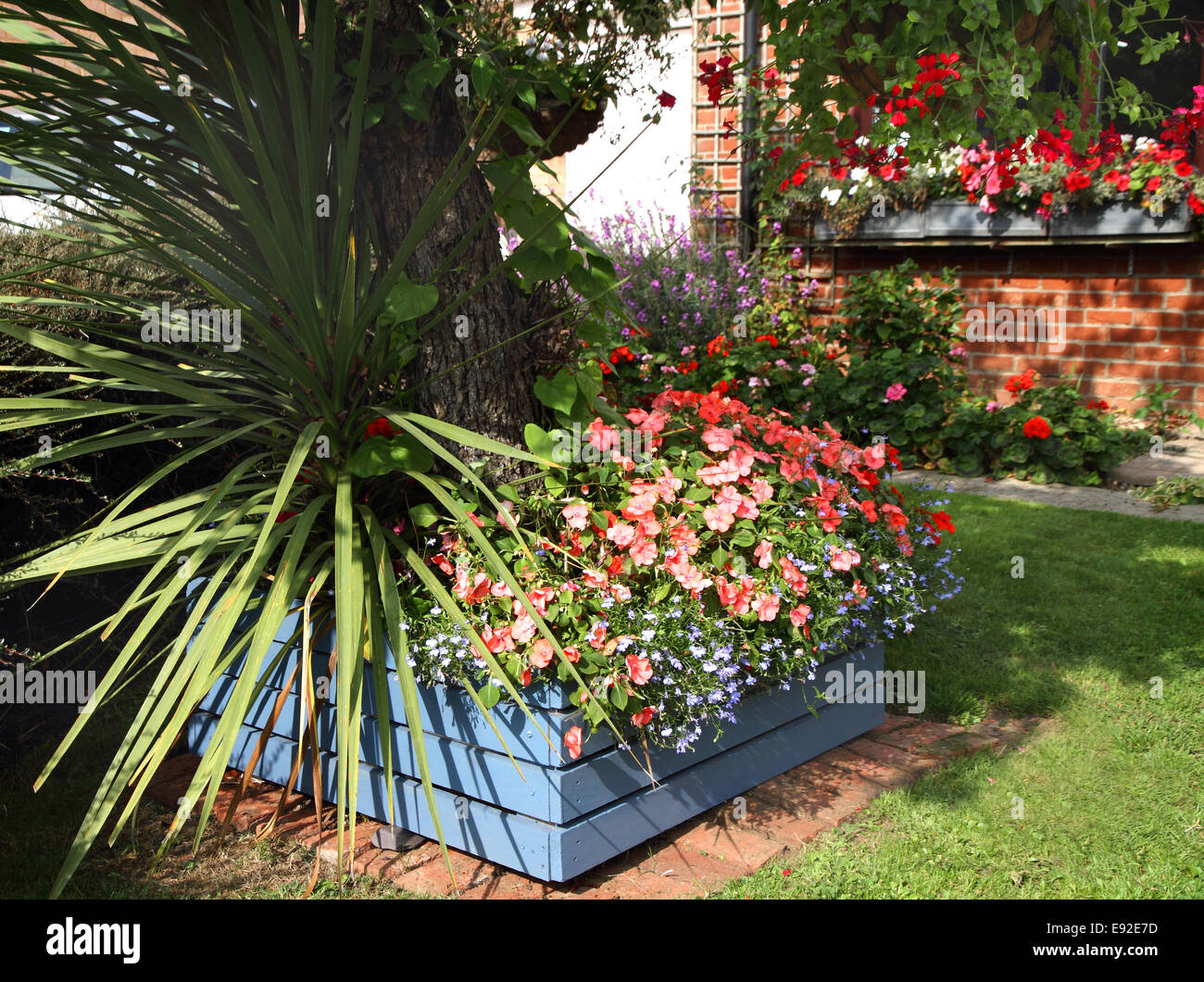 Contenitore per piante che circondano la base di un albero Foto Stock