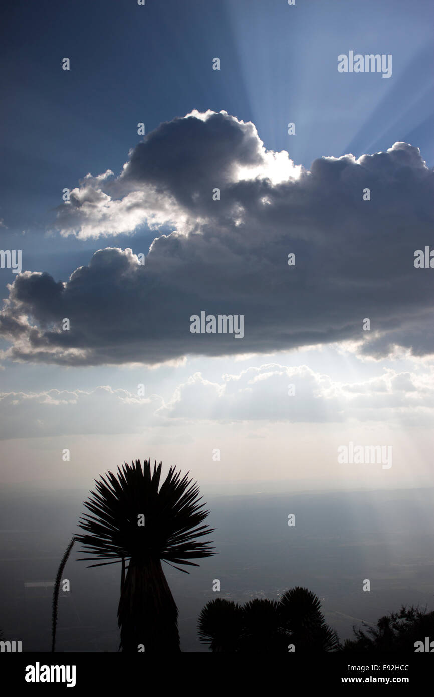 Il sole tramonta su Cerro Quemado montagna in Wirikuta, Real de Catorce, San Luis Potosi, Messico, 24 luglio 2014. Foto Stock