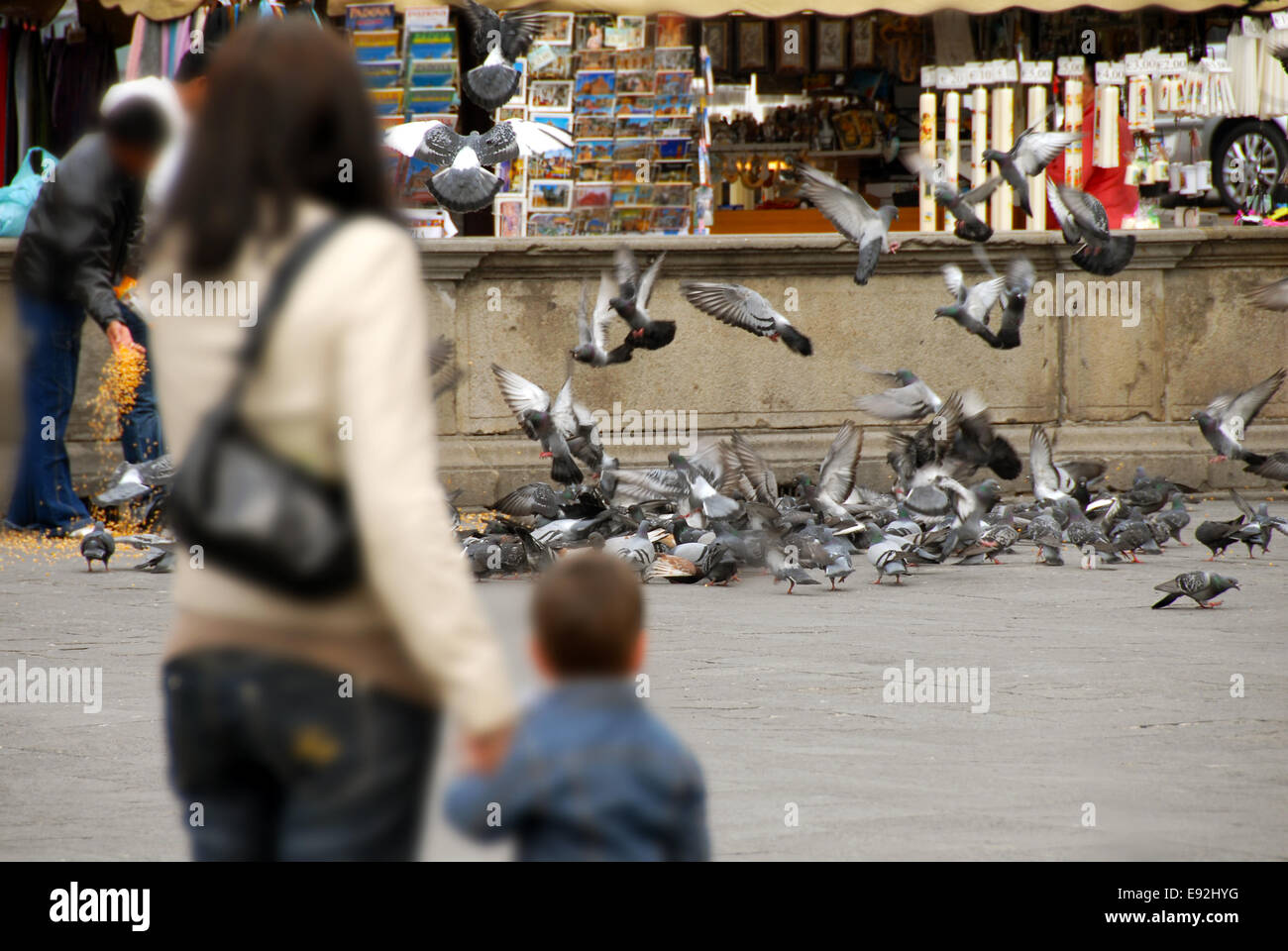 Alimentazione di piccioni in Padova Foto Stock