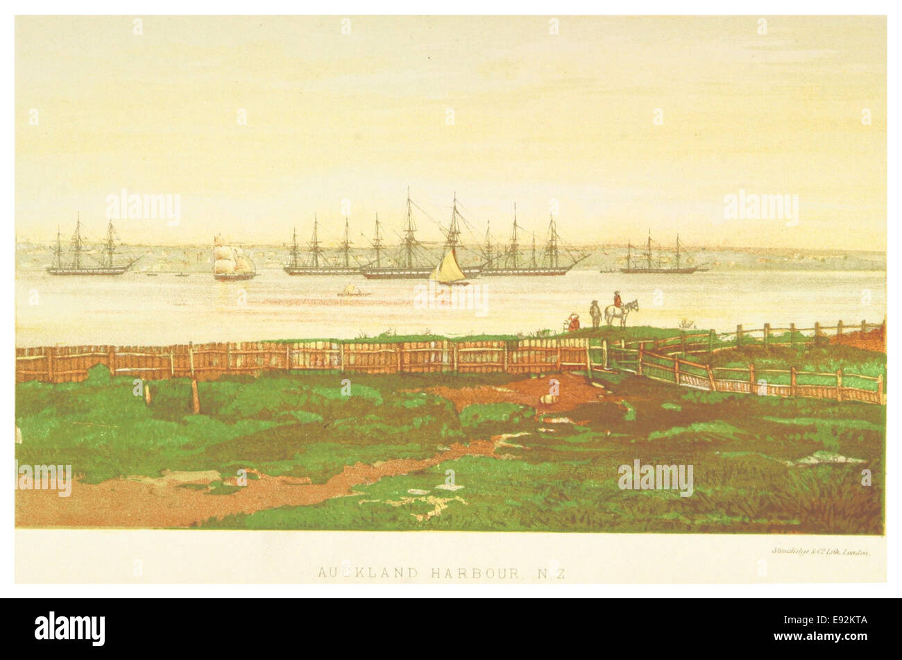 Questa illustrazione del 1871 del porto di Auckland in nuova Zelanda mette in evidenza la disposizione del porto e il suo significato per lo sviluppo della città durante la fine del XIX secolo. Foto Stock