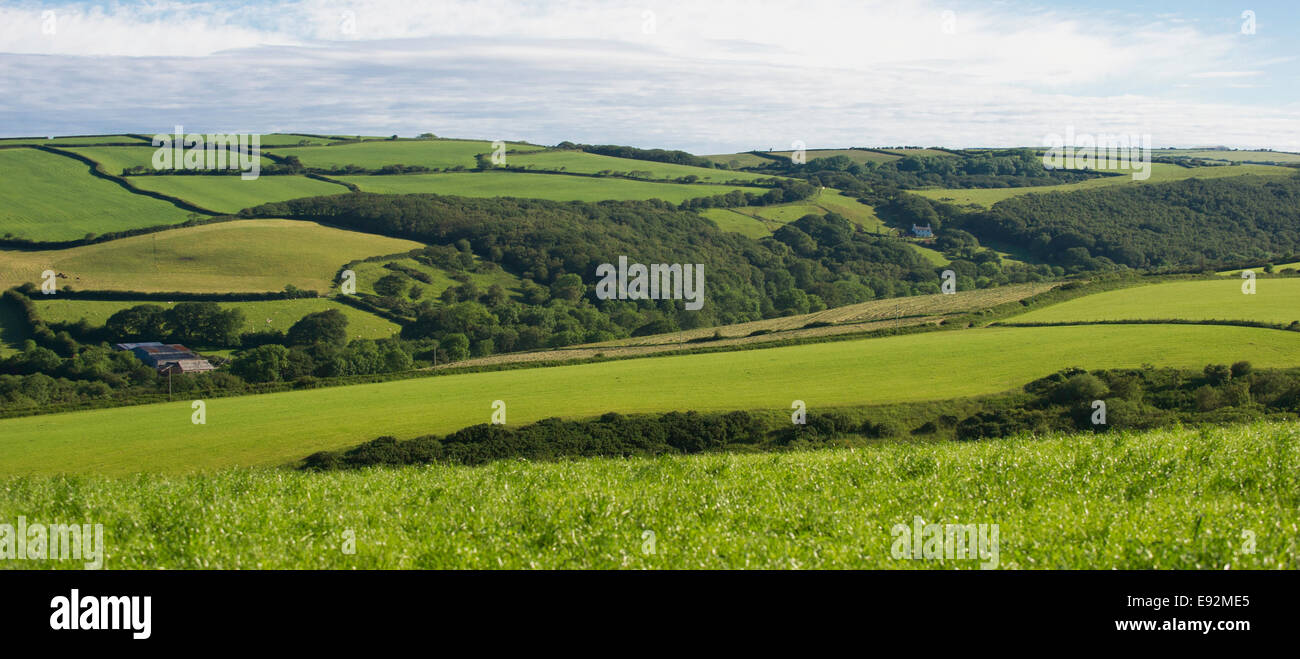 Terreni agricoli di laminazione orizzontale Foto Stock