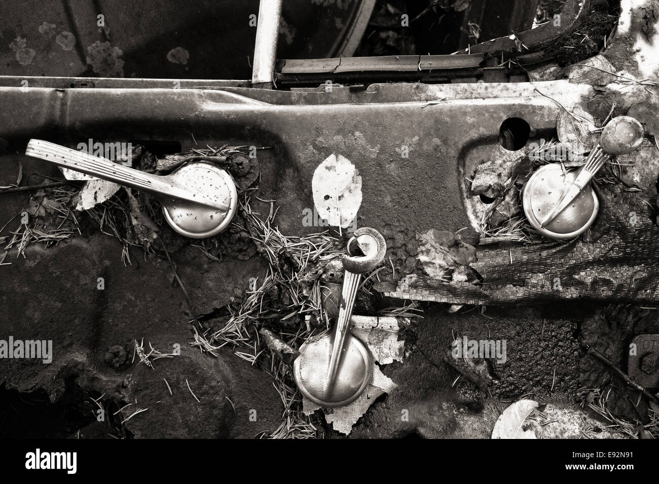 Vecchia e decadente porta auto coperto da foreste di detriti. Immagine monocromatica. Foto Stock