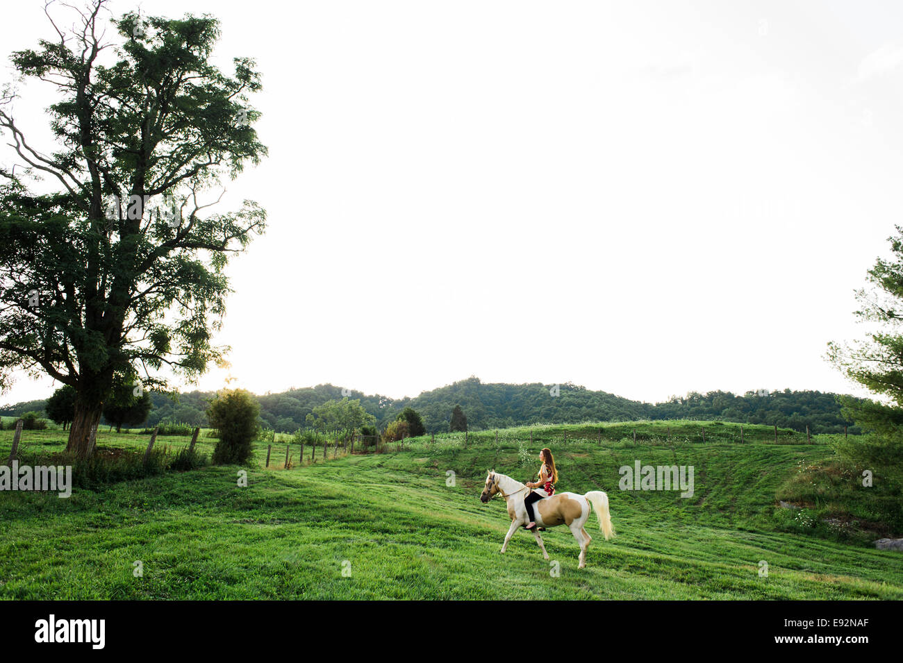 Giovane donna di equitazione nel campo, profilo Foto Stock