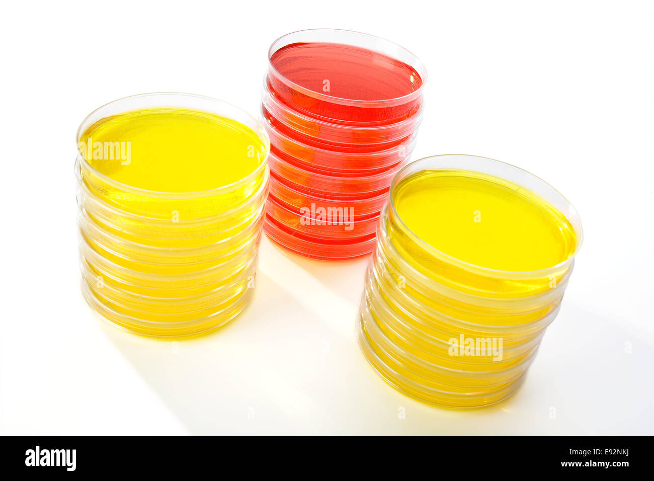 Tre pile di capsule di petri in un laboratorio. Due giallo e uno rosso su sfondo bianco con le ombre morbide. Foto Stock