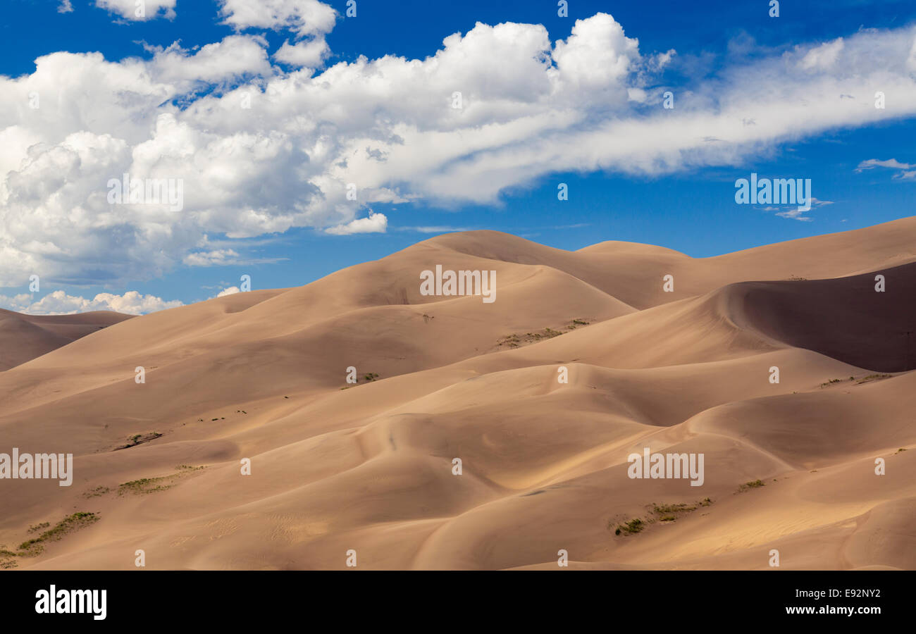 Great Sand Dunes National Park in Colorado, USA in estate Foto Stock