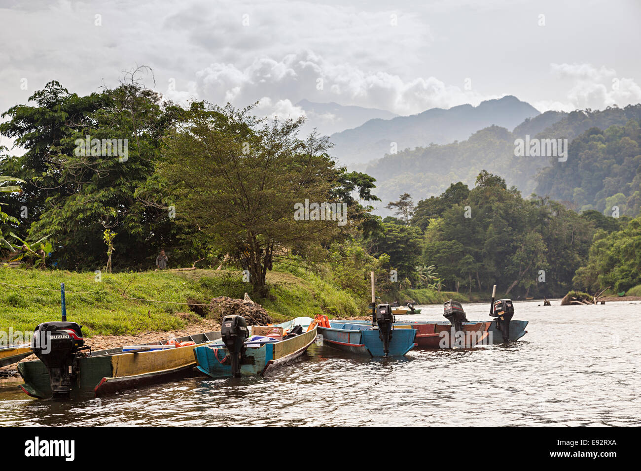 Barche con motori fuoribordo sul fiume Melinau con la foresta pluviale e le montagne in distanza, Mulu, Malaysia Foto Stock