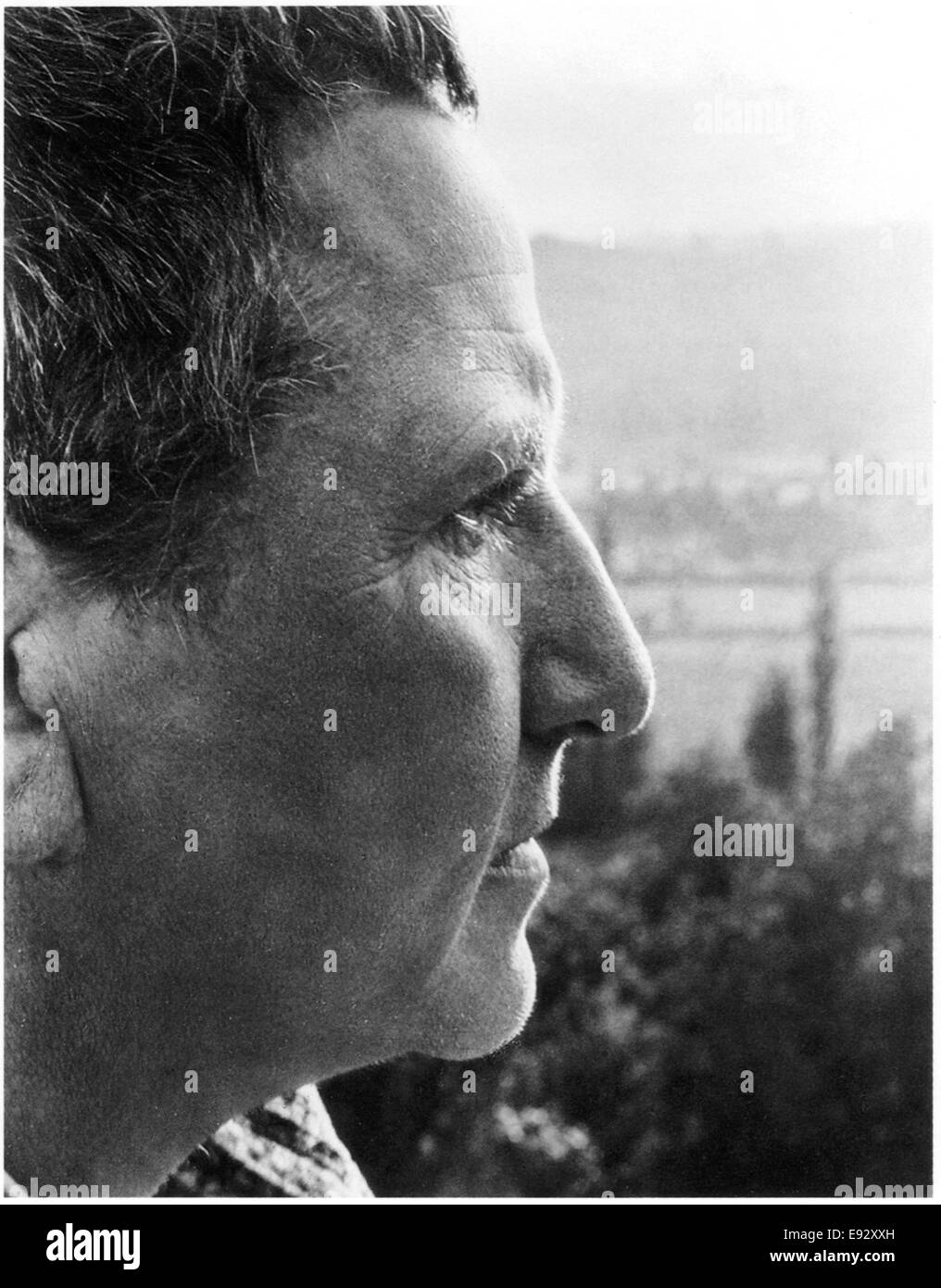 Gertrude Stein (1874-1946), romanziere americano e poeta, Close-Up Profilo, circa all'inizio degli anni trenta Foto Stock