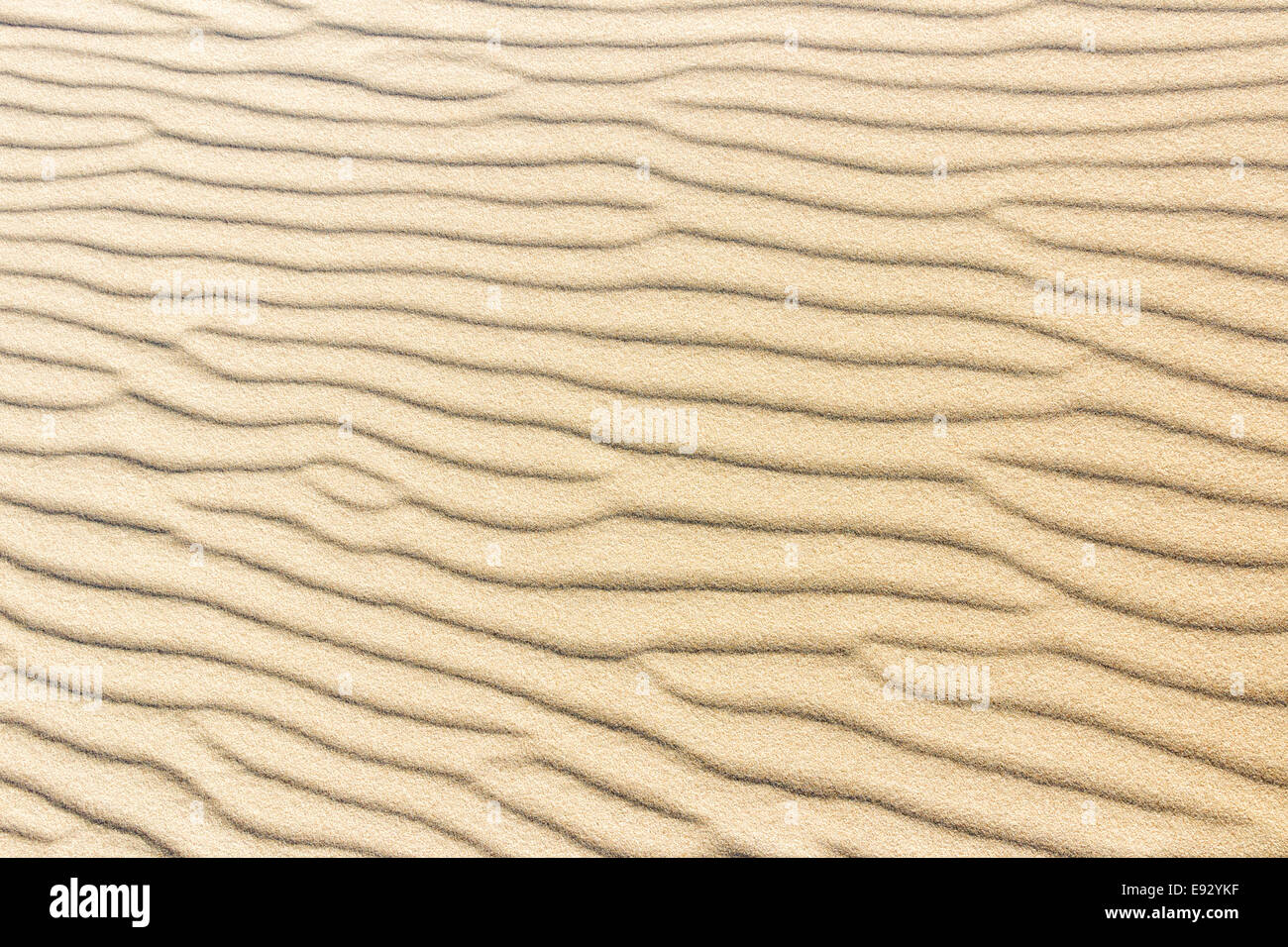 Spiaggia di sabbia Foto Stock