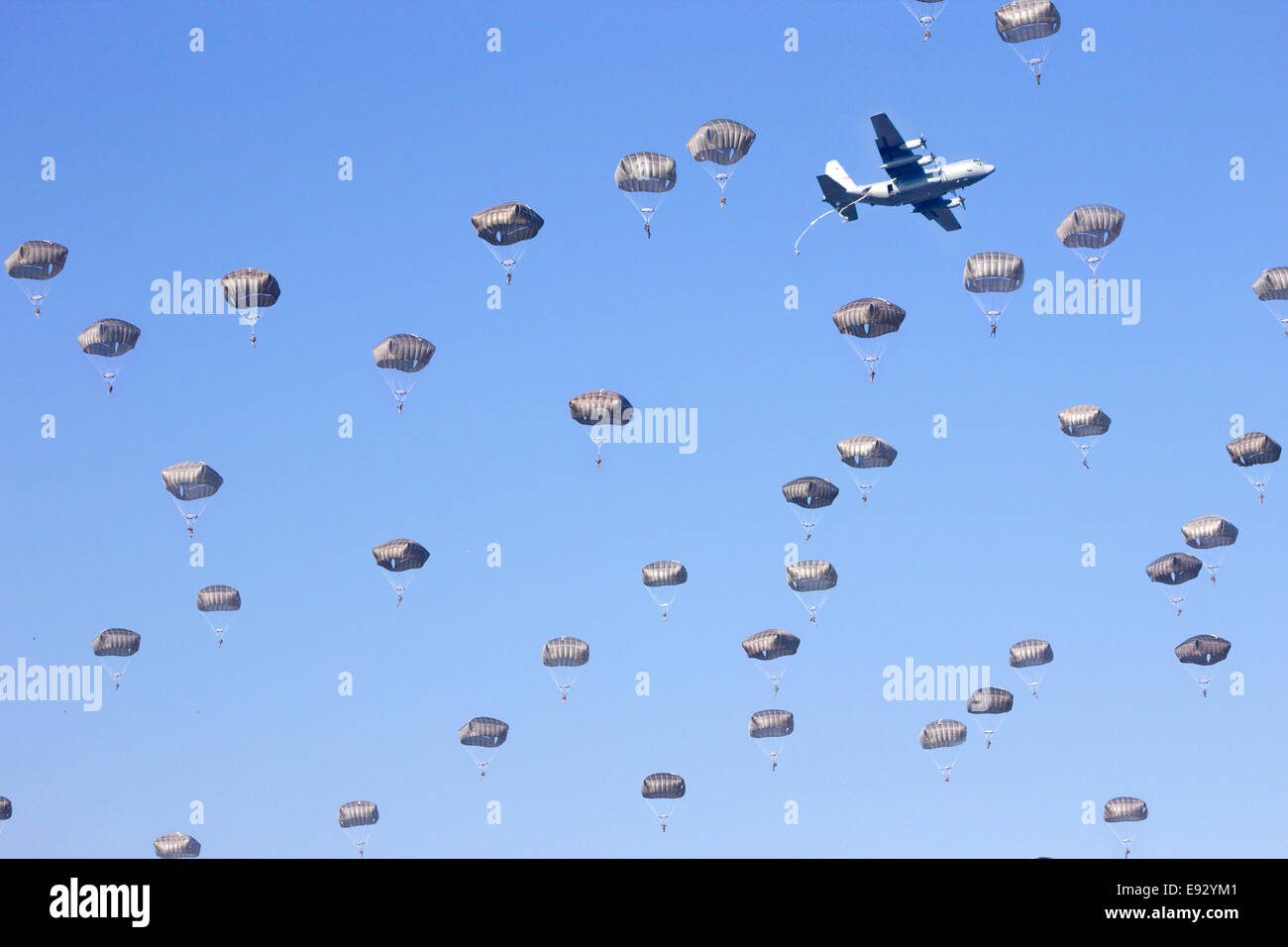 Paracadutisti nel cielo Foto Stock