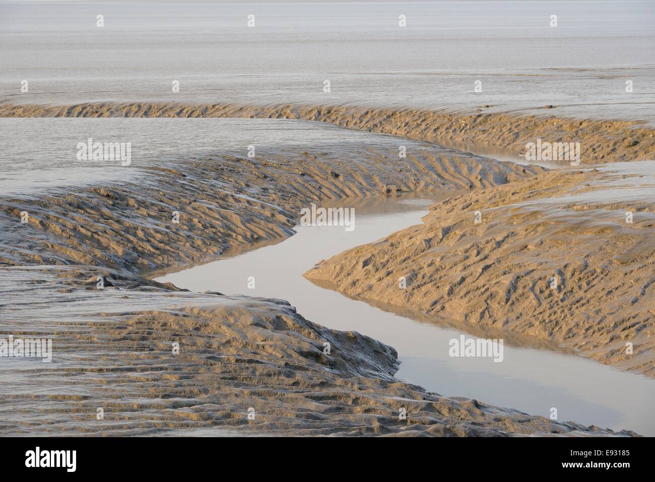 Tidal creek attraverso velme a bassa marea in Severn Estuary, Gloucestershire, UK, Marzo. Foto Stock