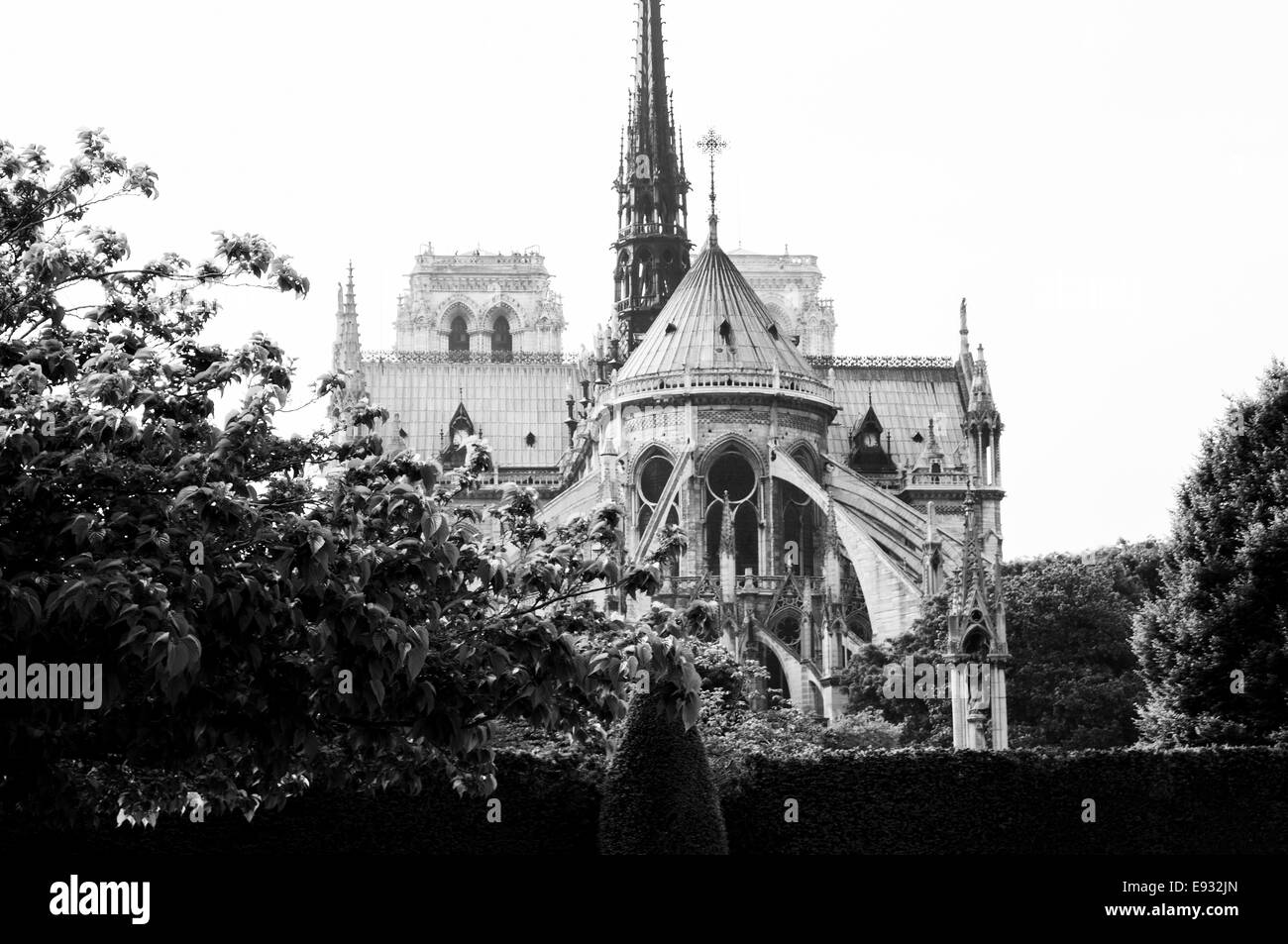 Lato posteriore della cattedrale di Notre Dame in bianco e nero, Parigi, Francia Foto Stock