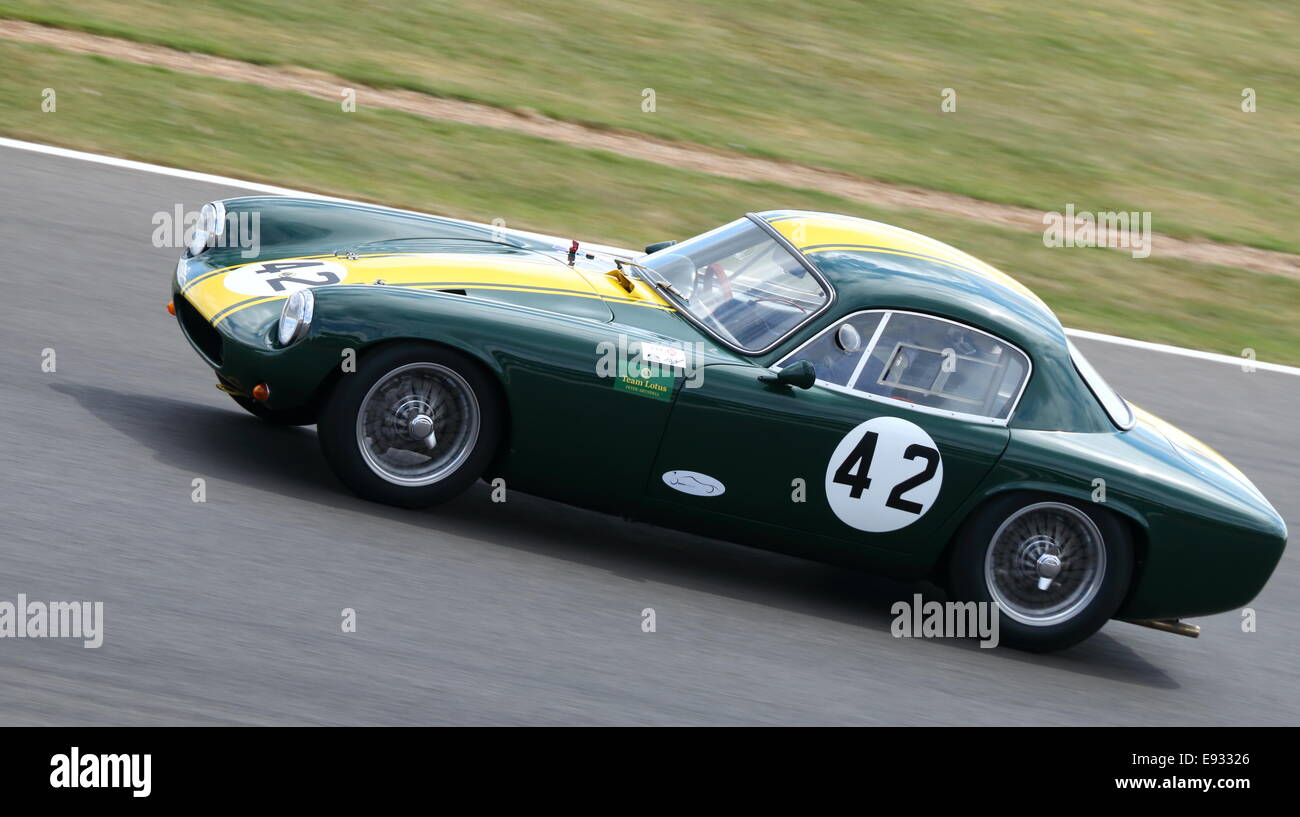 Lotus Elite, Royal Automobile Club Tourist Trophy per pre-1963 vetture GT. Silverstone Classic 2014. Foto Stock