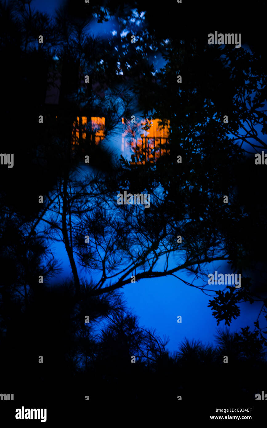 Cabina nei boschi. Doppia esposizione di luci cabina in silhouette di pino rami. Foto Stock