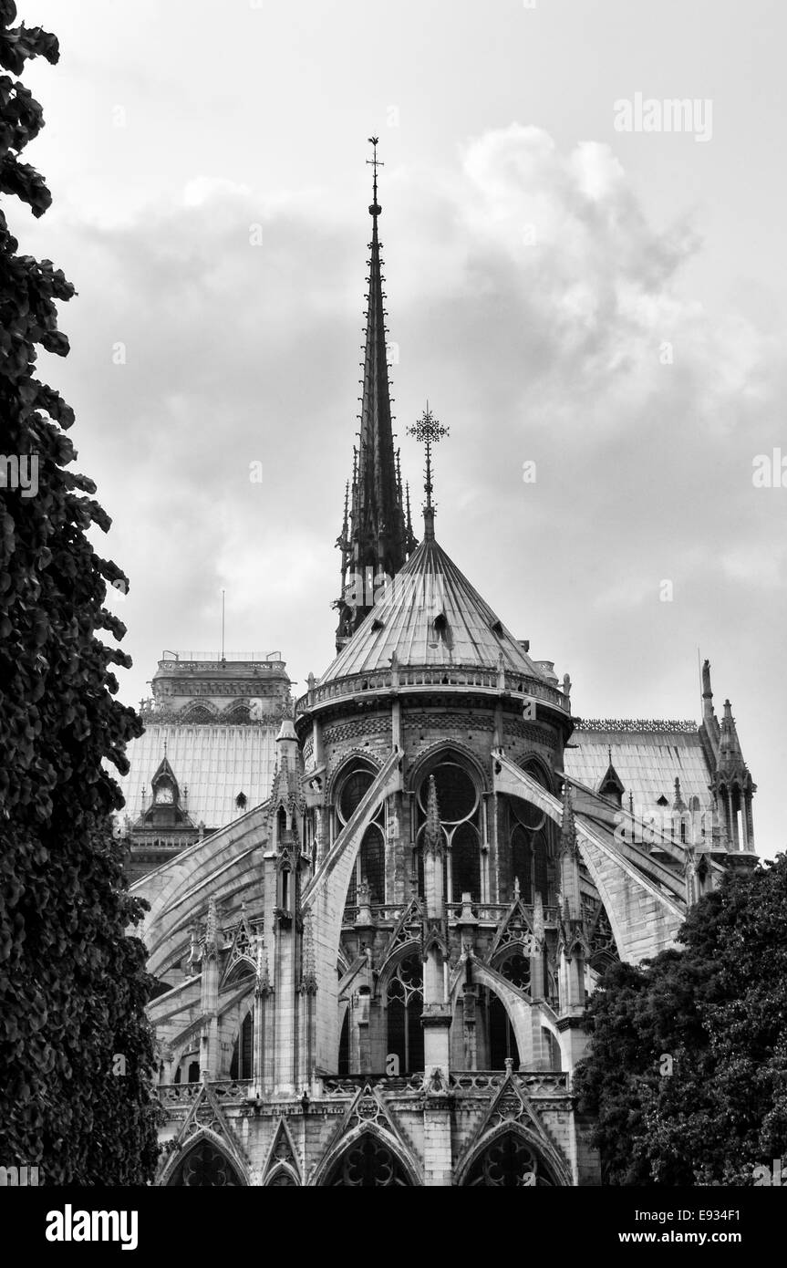 In bianco e nero della cattedrale di Notre Dame, Paris, Francia Foto Stock