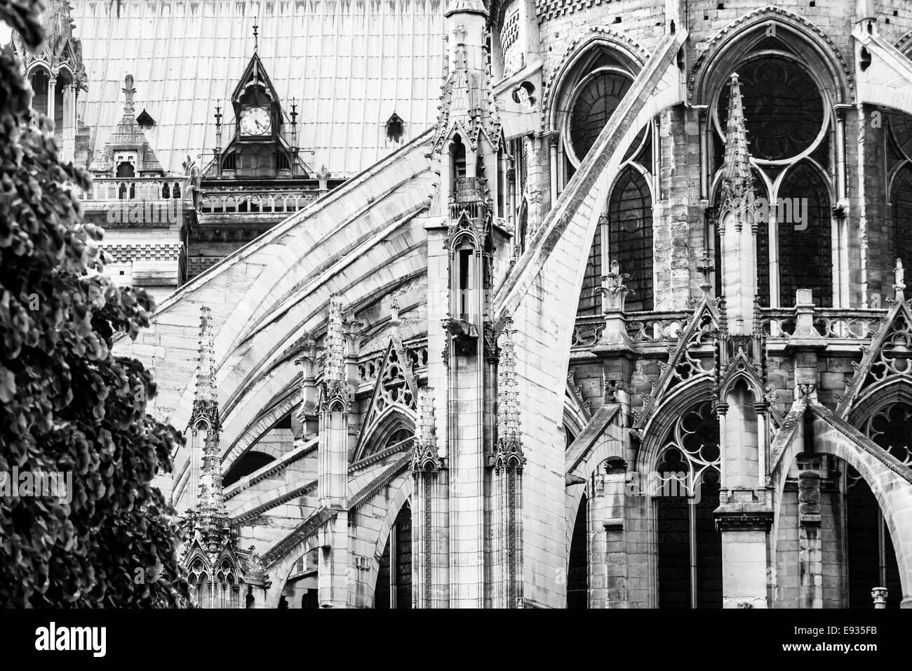 Archi rampanti della cattedrale di Notre Dame in bianco e nero, Parigi, Francia Foto Stock
