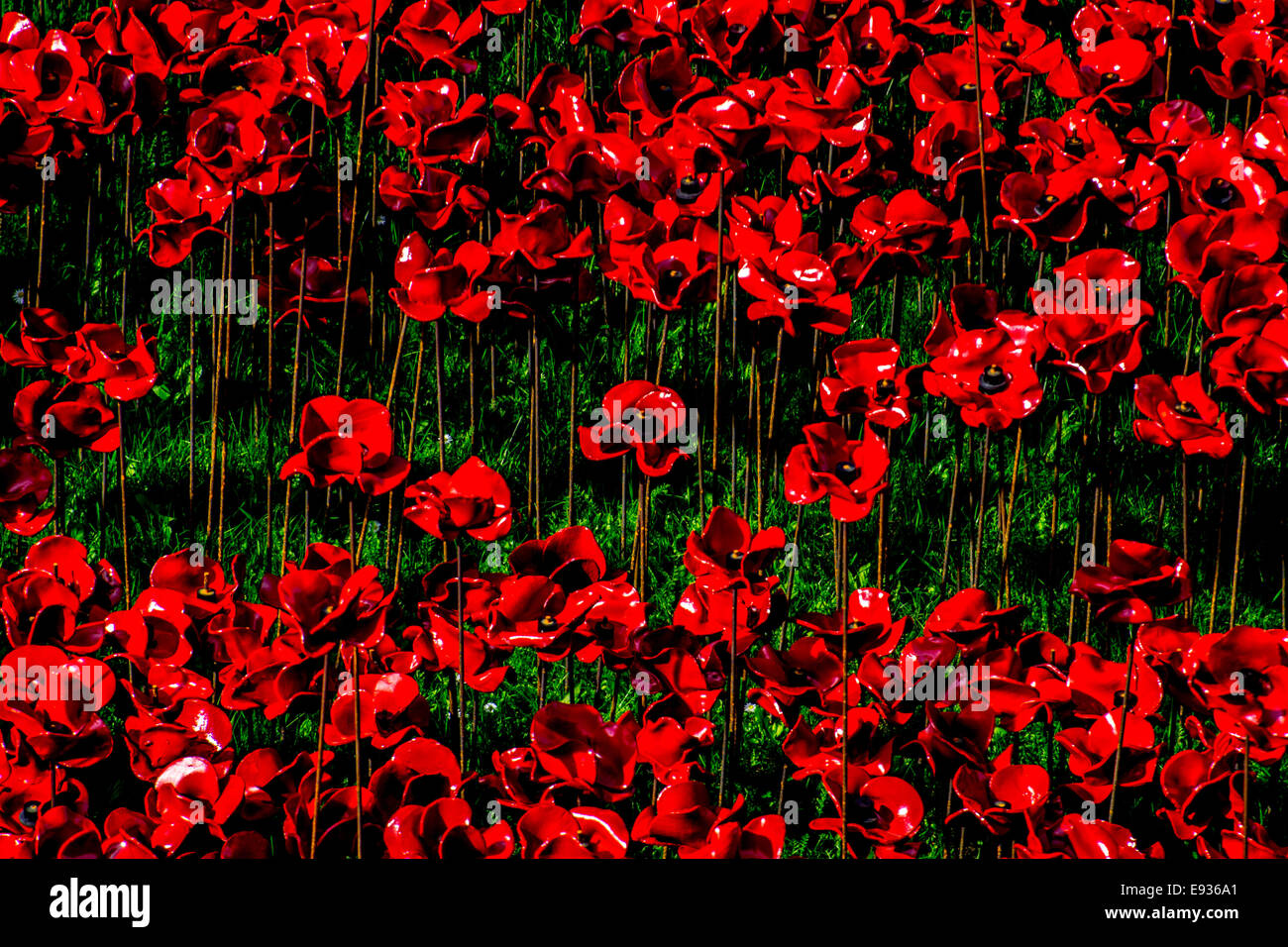 Installazione di papavero presso la Torre di Londra per ricordare i soldati britannici che si sono sacrificati per il loro paese in WW1 Foto Stock