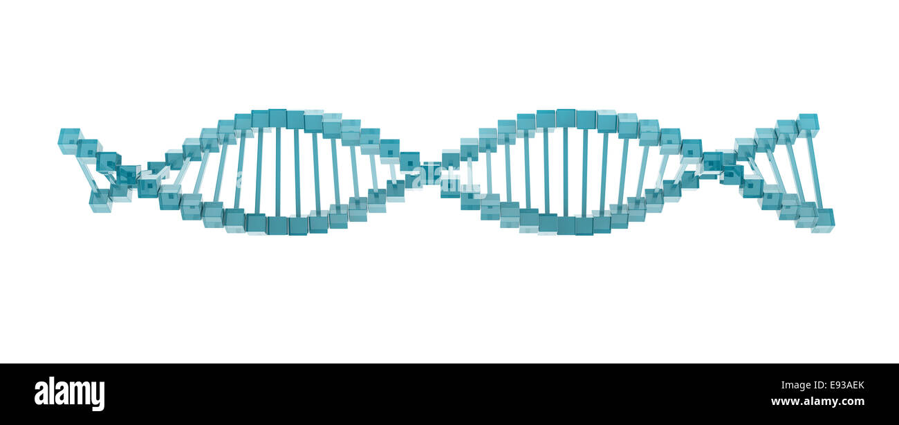 Vetro modello di DNA su sfondo bianco. Foto Stock