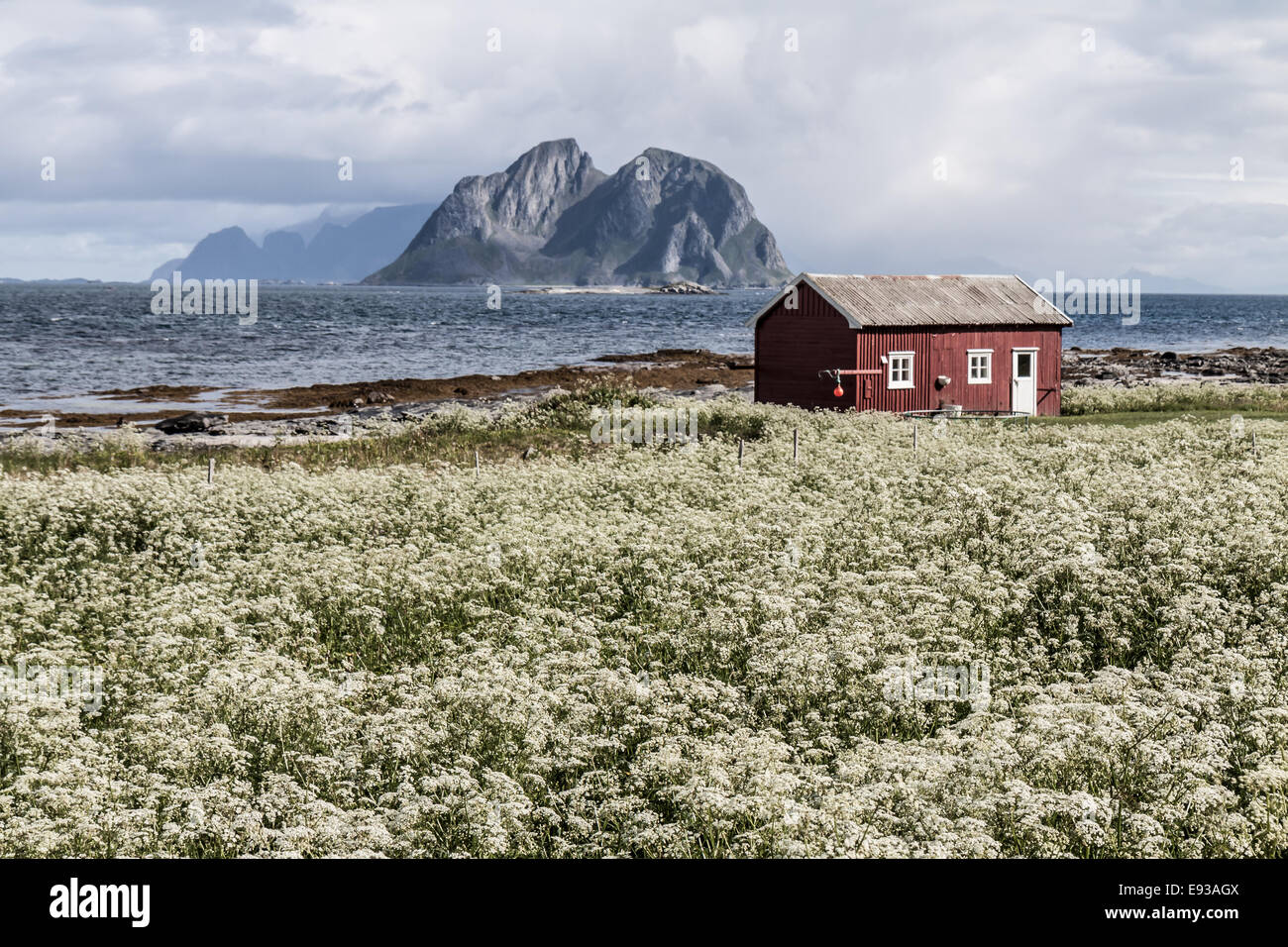 Vaeroy isola, isola di Lofoten,NORVEGIA Foto Stock