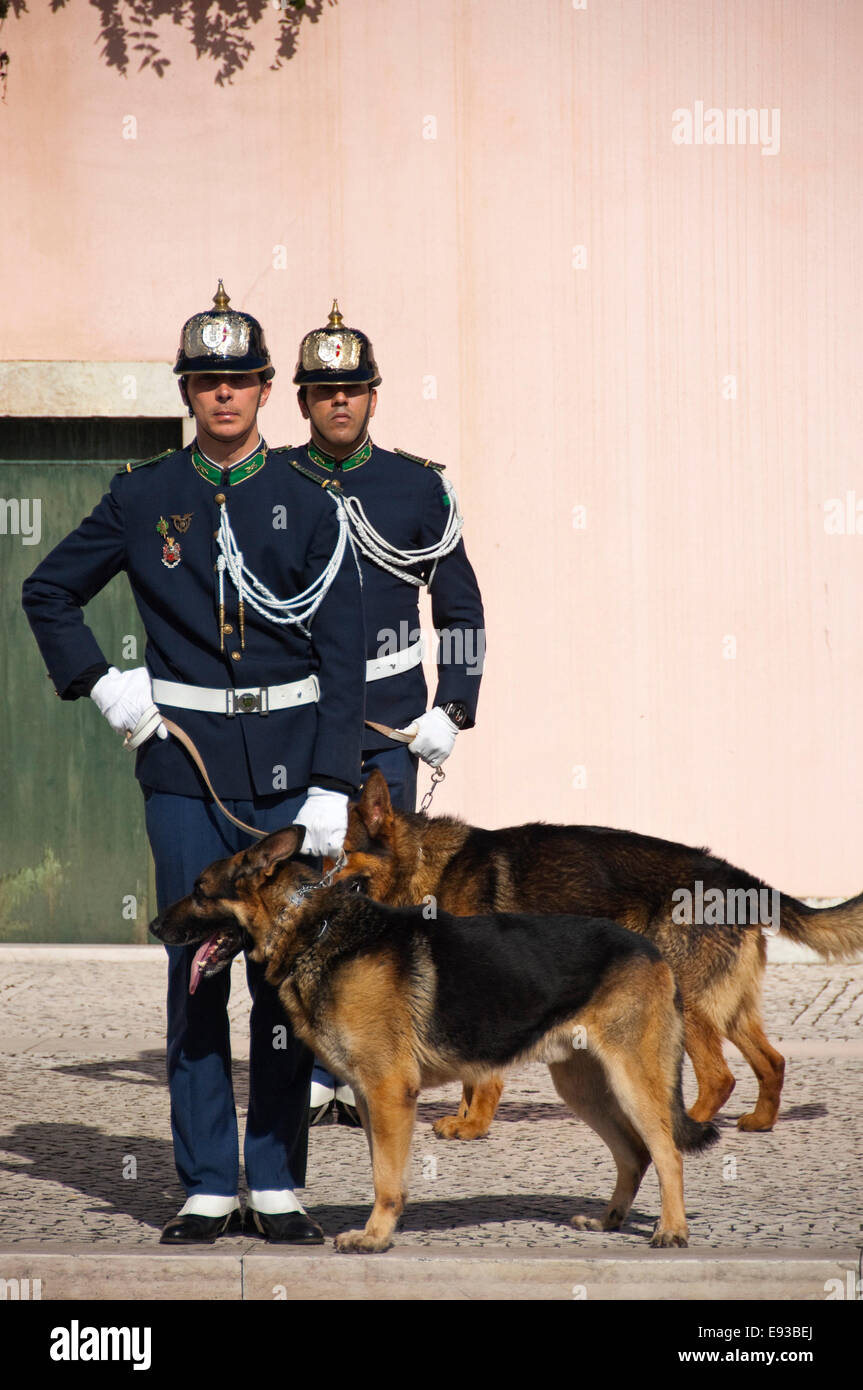 Ritratto verticale di cani al cambio della guardia in Belem, Foto Stock