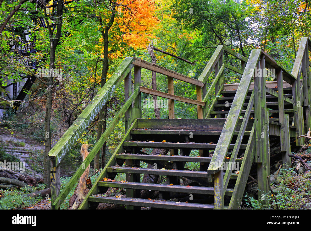 Sentiero escursionistico in un burrone con colori autunnali a Midtown Toronto Foto Stock