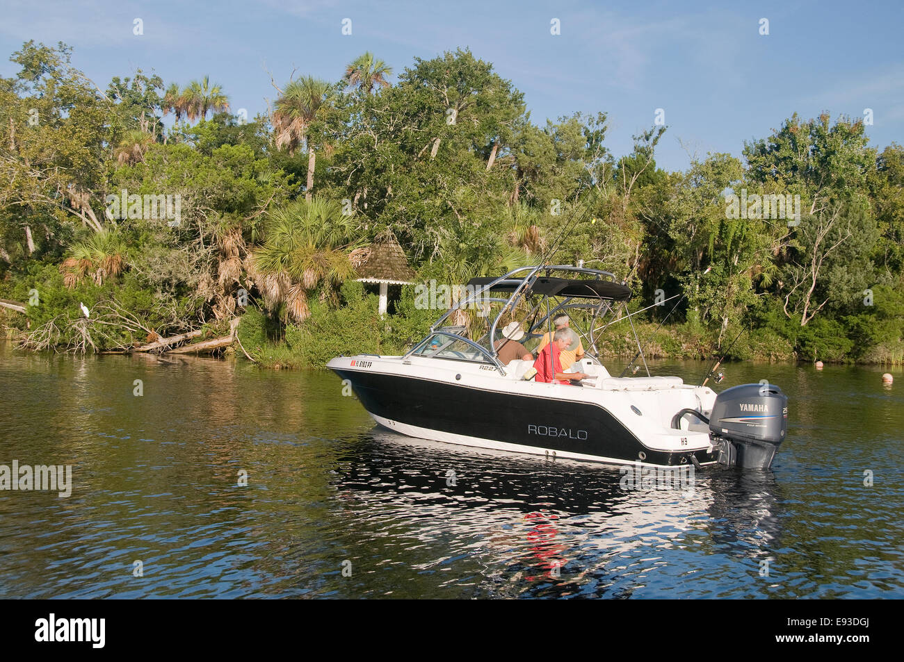 Mentre la pesca, diportisti sul fiume Homosassa può visualizzare un interessante litorale lungo la molla esegui. Foto Stock