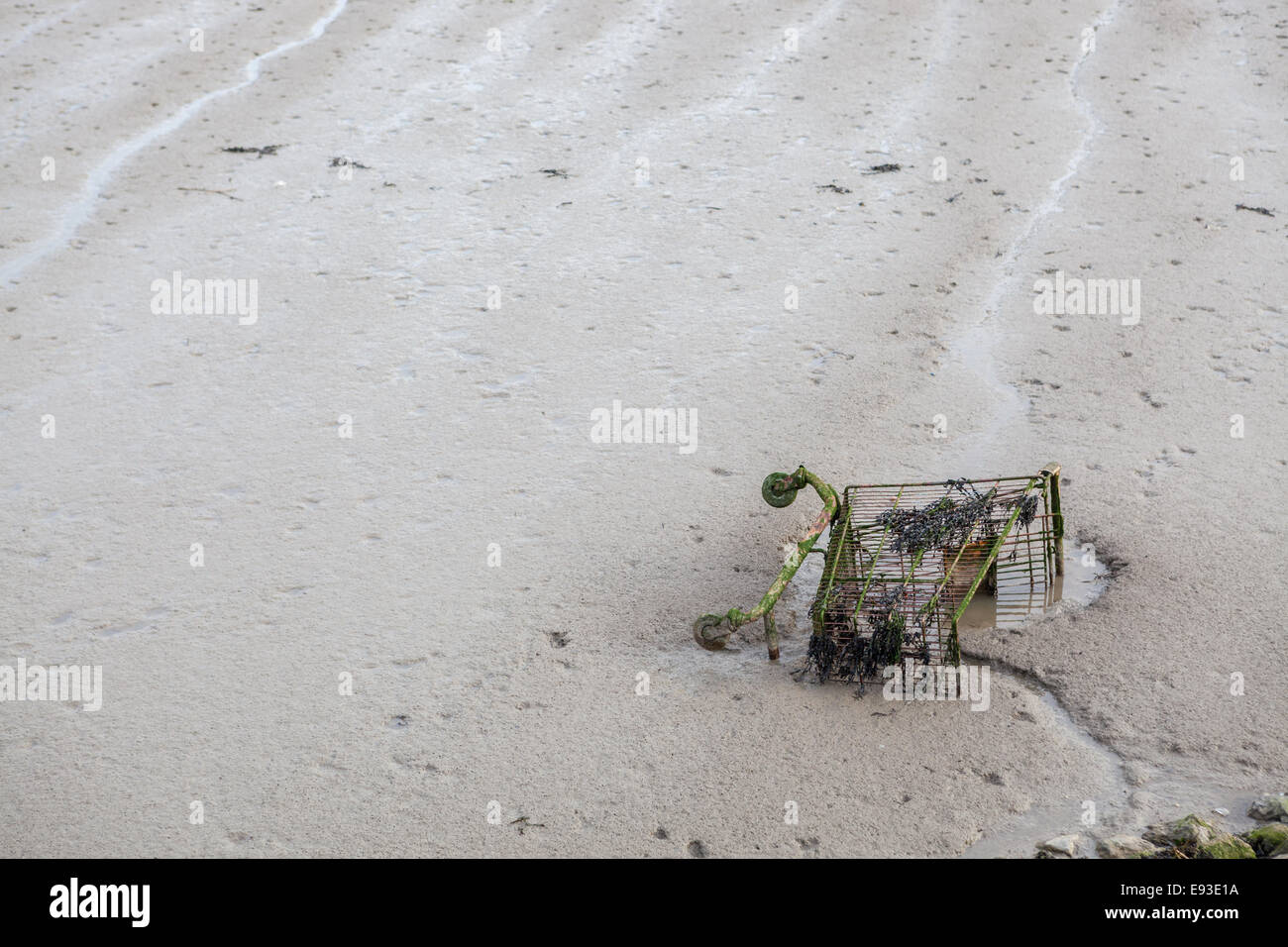 Carrello della spesa sul foreshore del Fiume Tamigi a Grays Essex Foto Stock