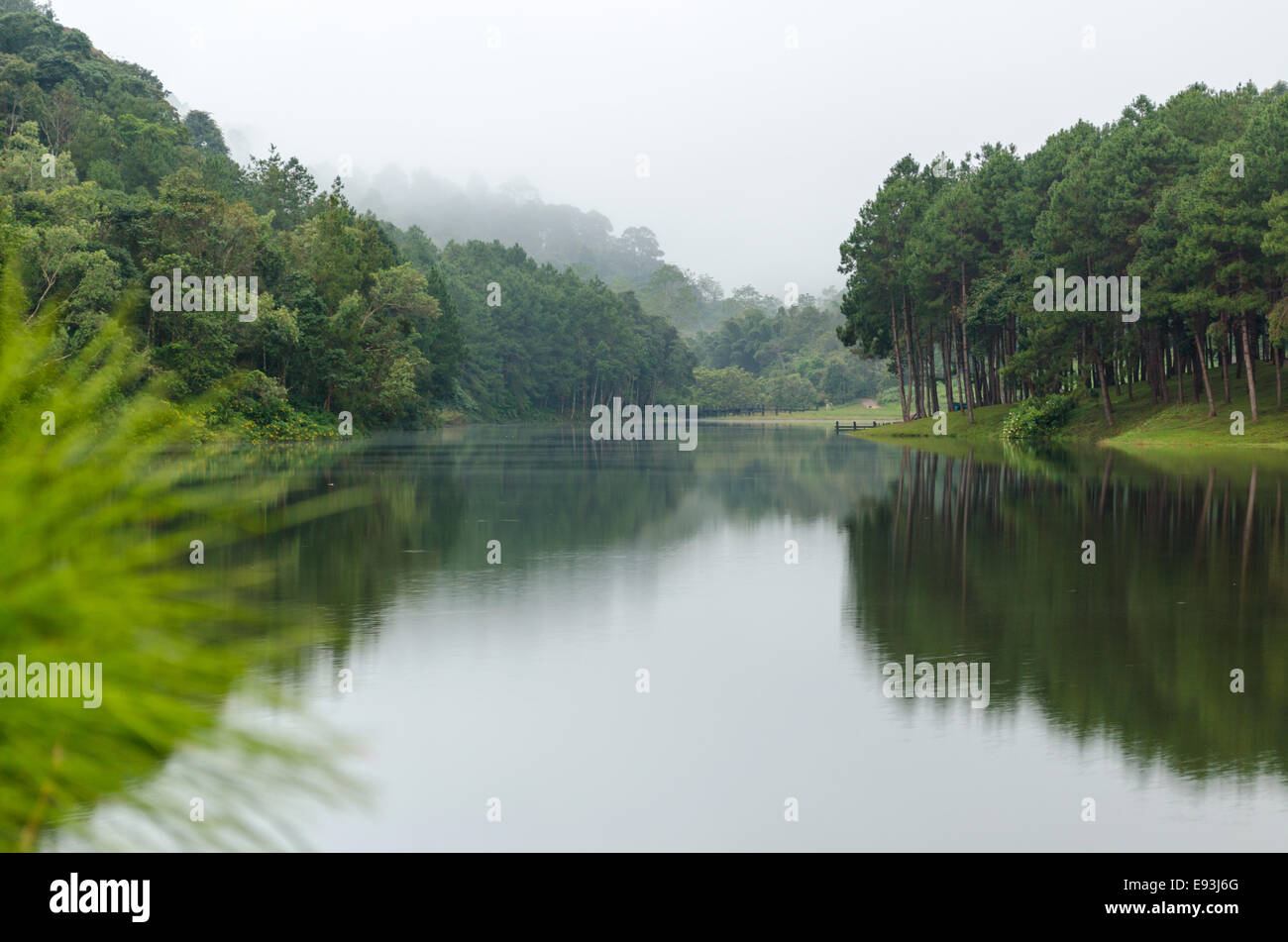 Natura paesaggio all'alba di laghi e foreste di pini in Pang Ung parco nazionale di Mae Hong Son provincia, Thailandia Foto Stock