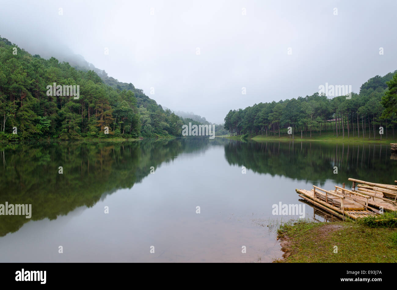 Natura paesaggio all'alba di laghi e foreste di pini in Pang Ung parco nazionale di Mae Hong Son provincia, Thailandia Foto Stock