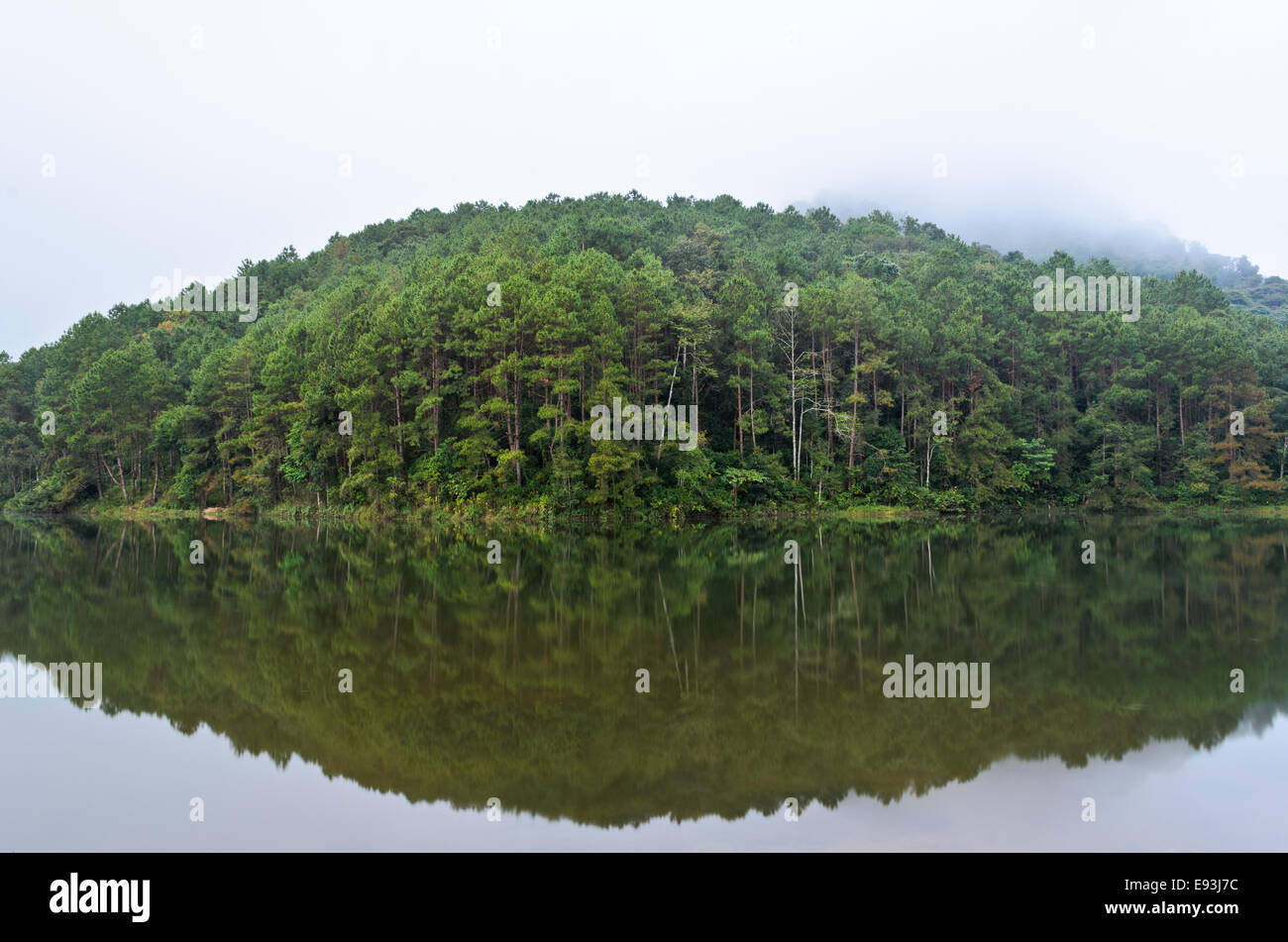 Natura paesaggio all'alba di laghi e foreste di pini in Pang Ung parco nazionale di Mae Hong Son provincia, Thailandia Foto Stock